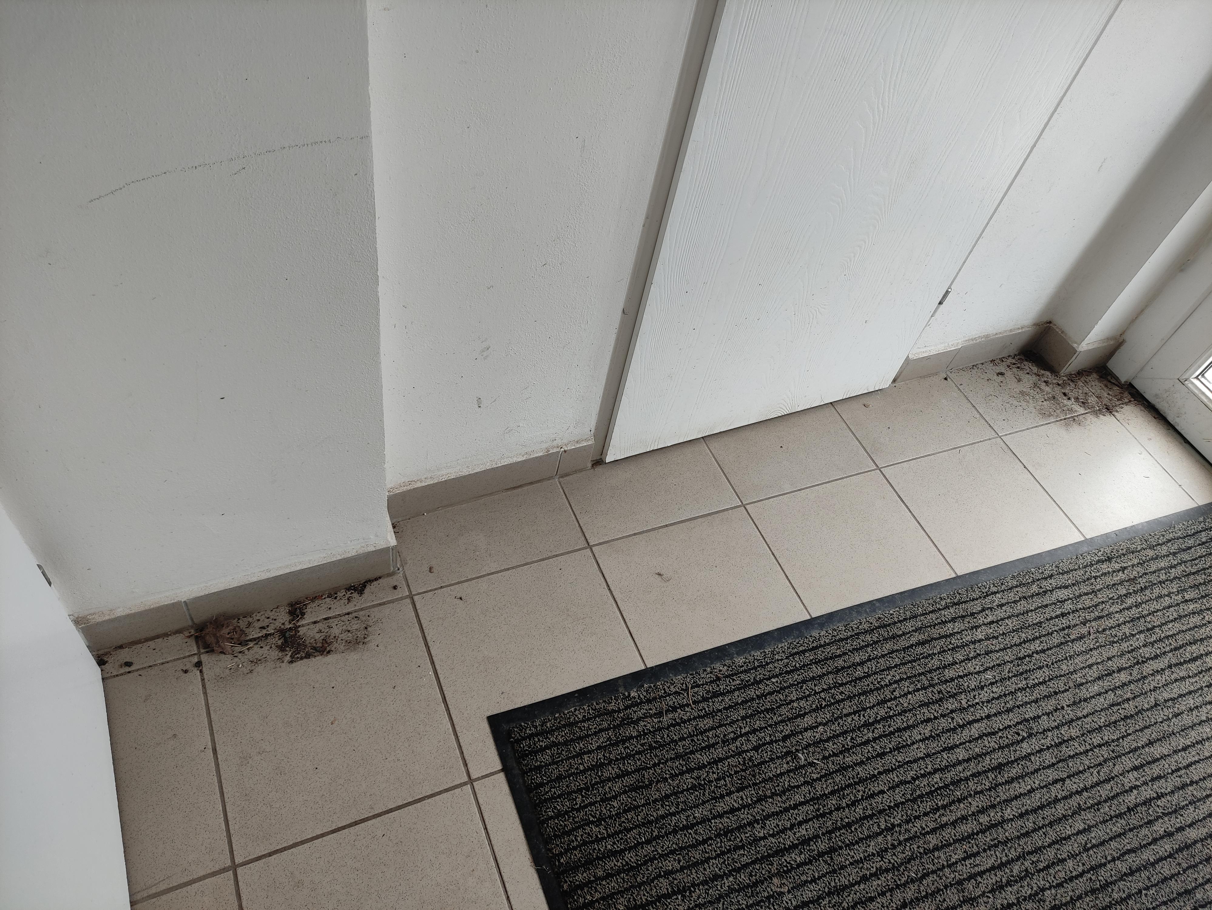 Ubytování na konci ulice foto 6