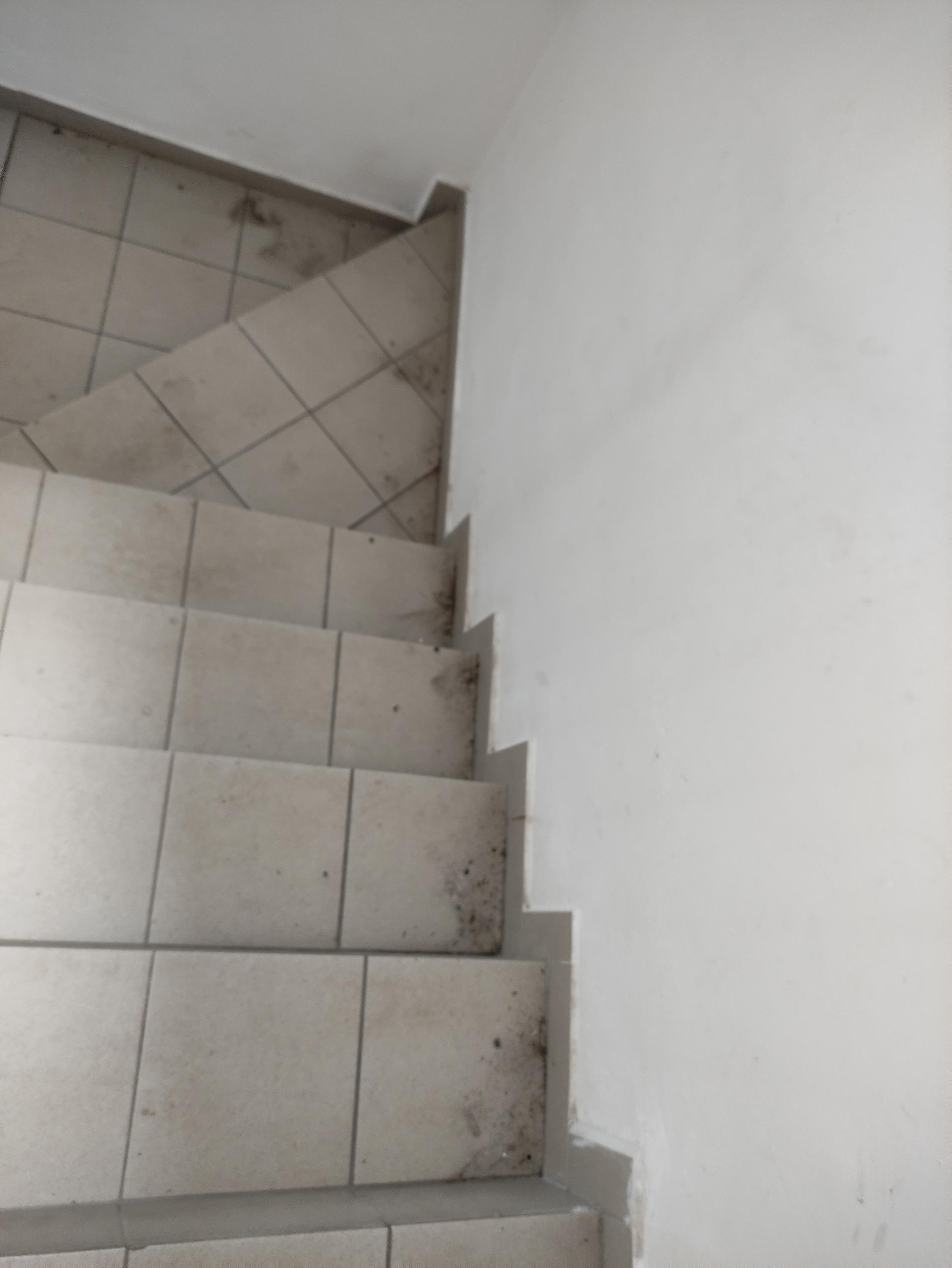 Ubytování na konci ulice foto 3