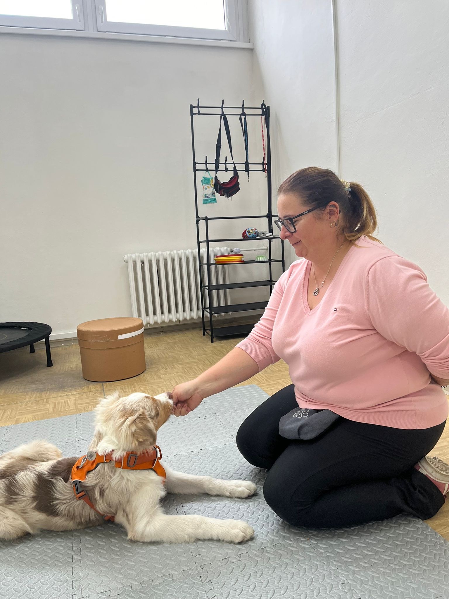 Psí výcviková škola Stars foto 4