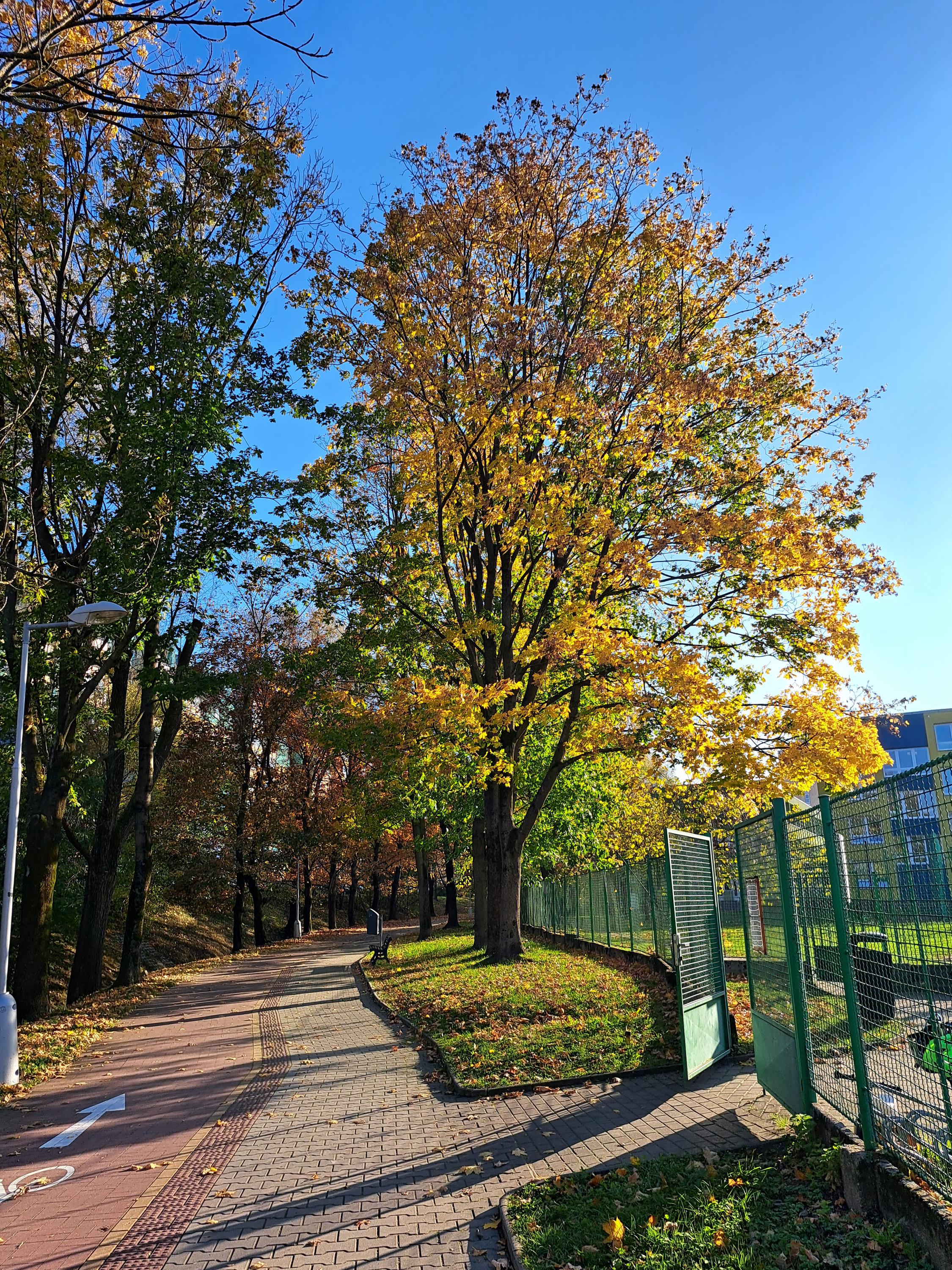 MŠ Kopřivnice, Krátká foto 3