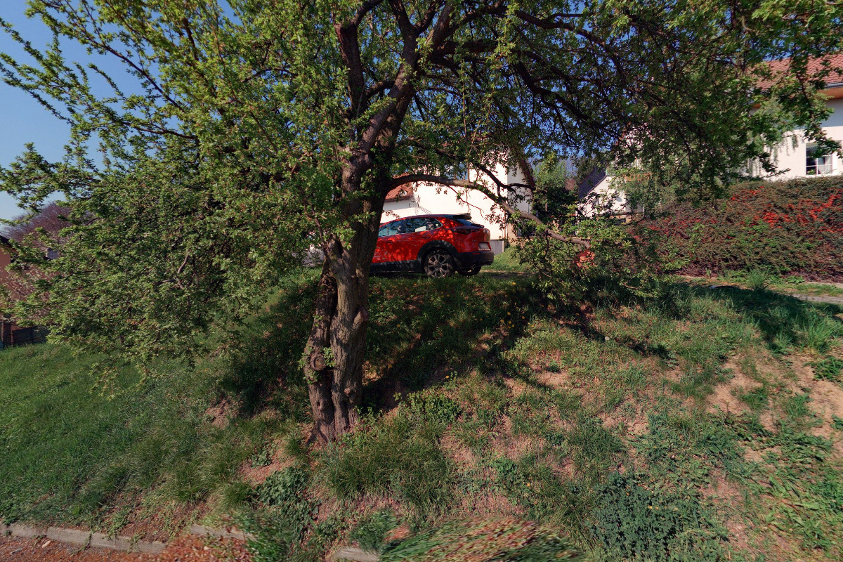 Tělocvičná jednota Sokol