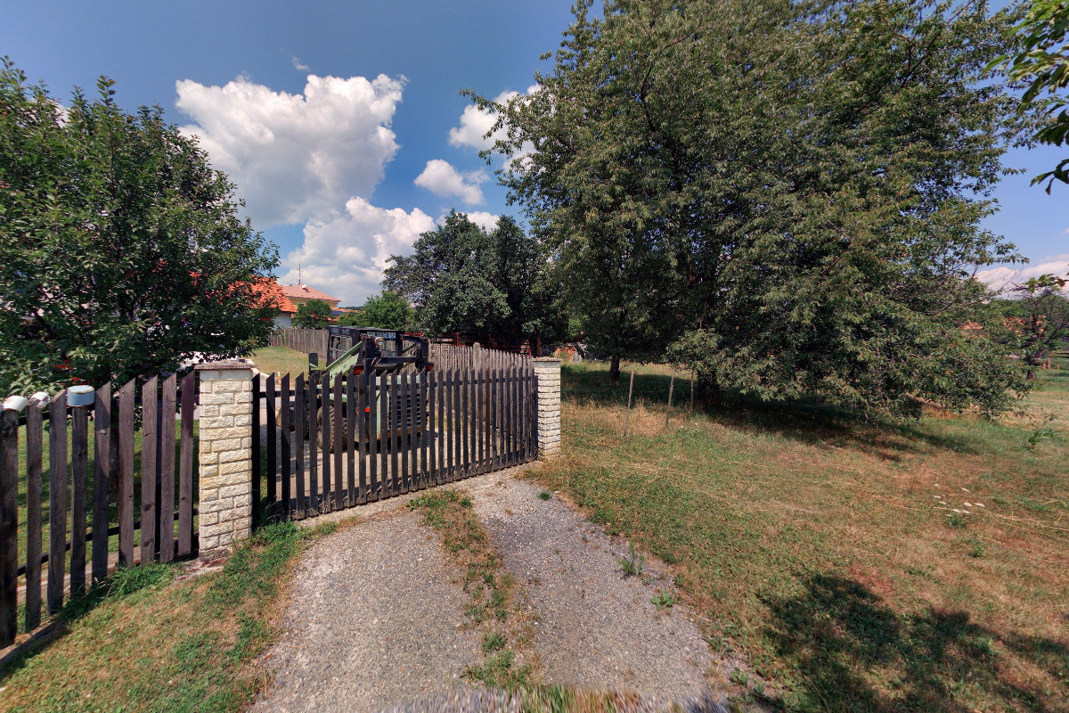 Dana Čtvrtníková foto 4