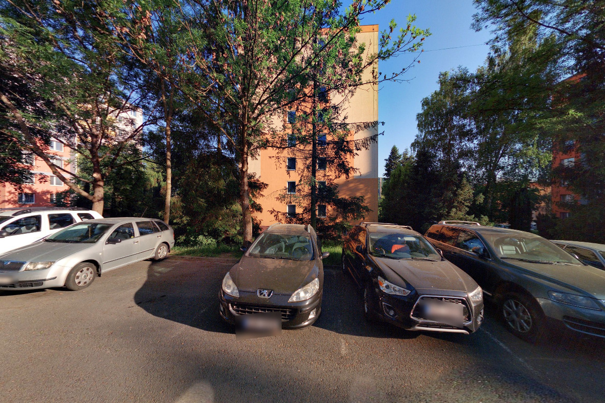 Ing. Olga Holišová