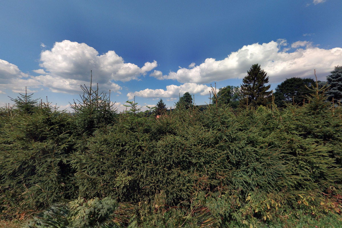 Ubytko ráj pod kaštanem