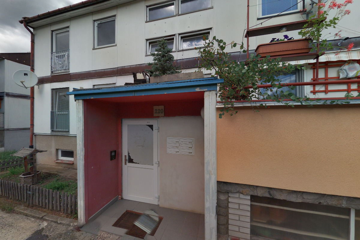 Markéta Troníčková - chovatelství koček