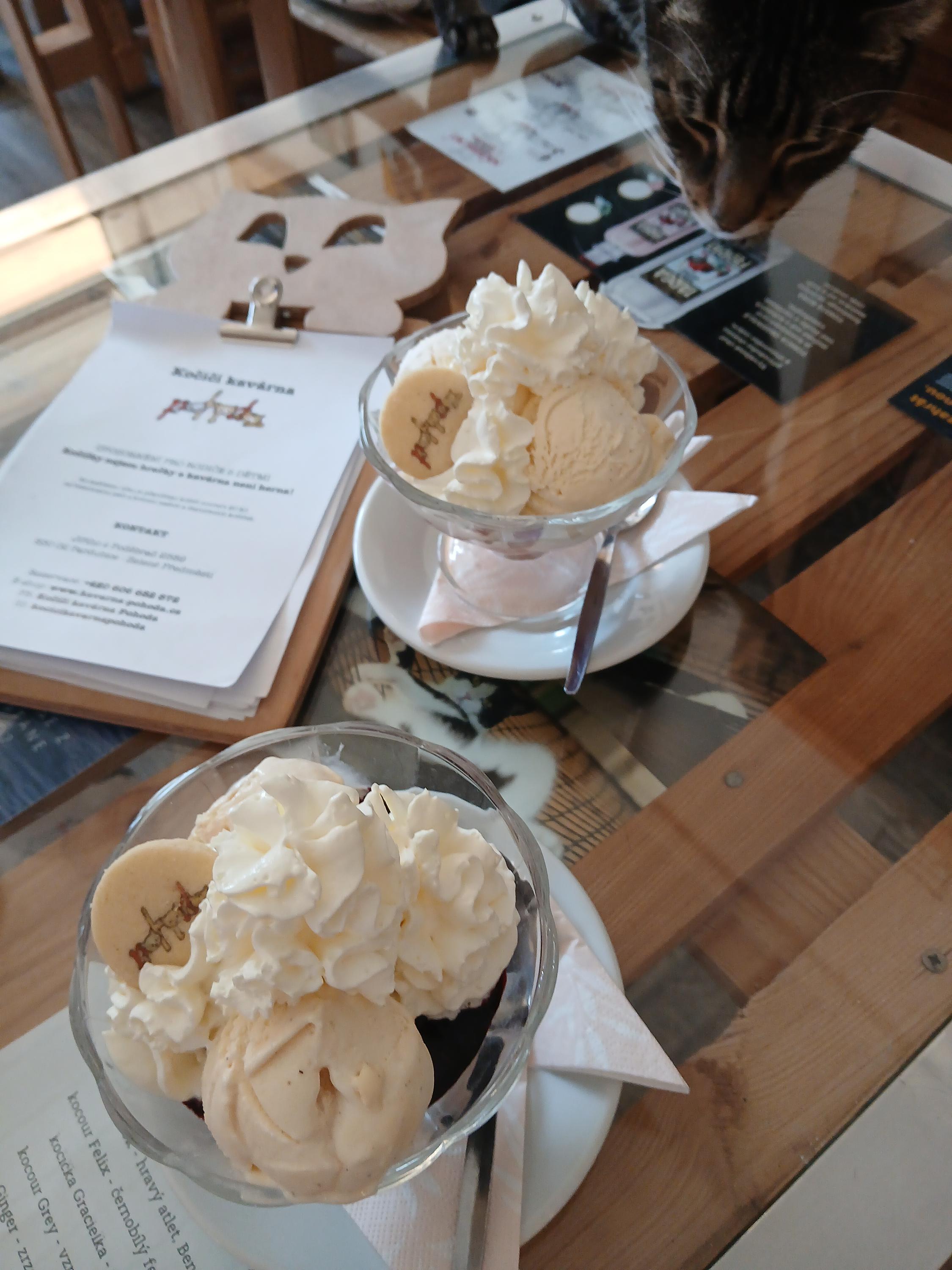 Kočičí kavárna Pohoda foto 4