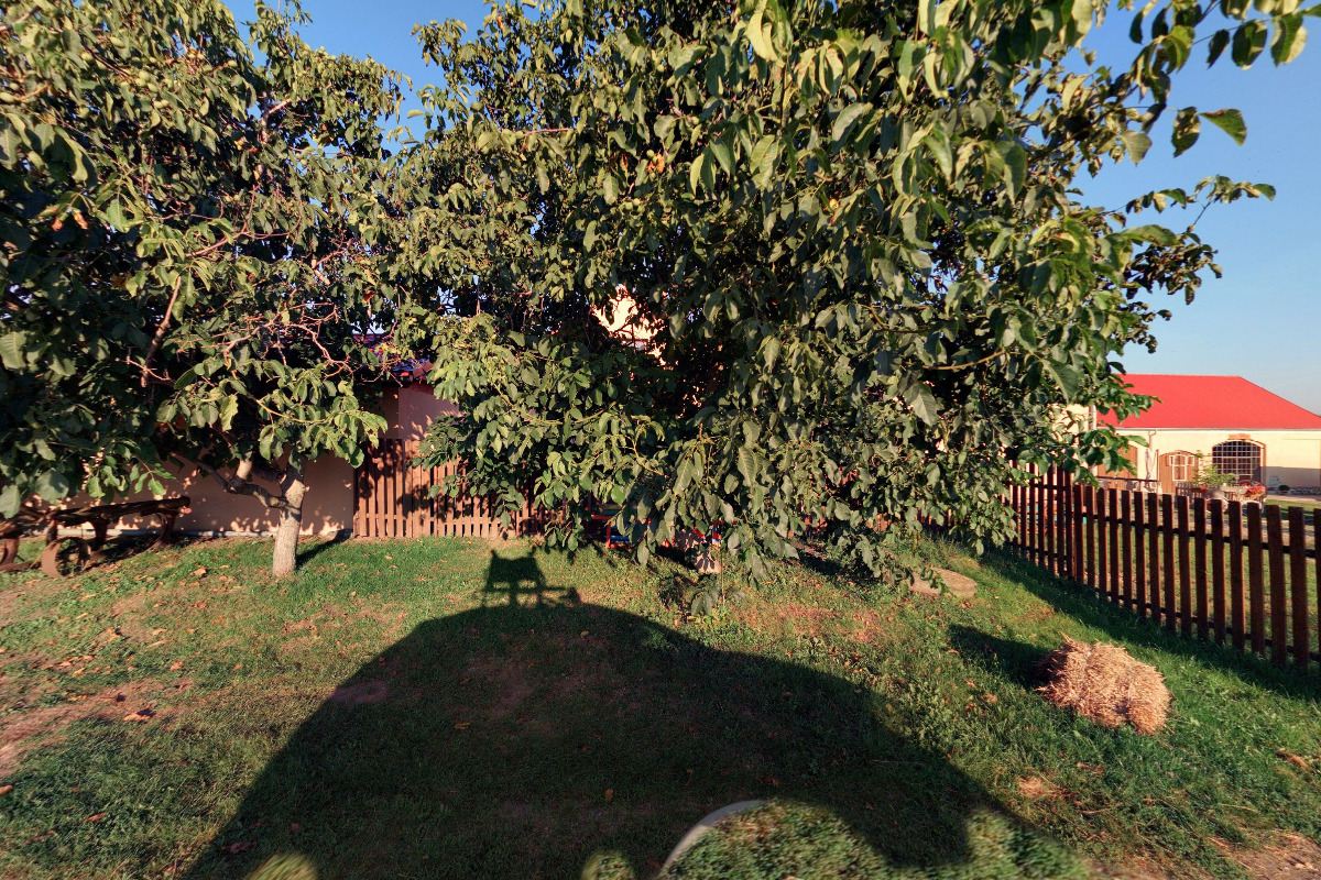 CAFK -  Česká asociace fríských koní z. s.