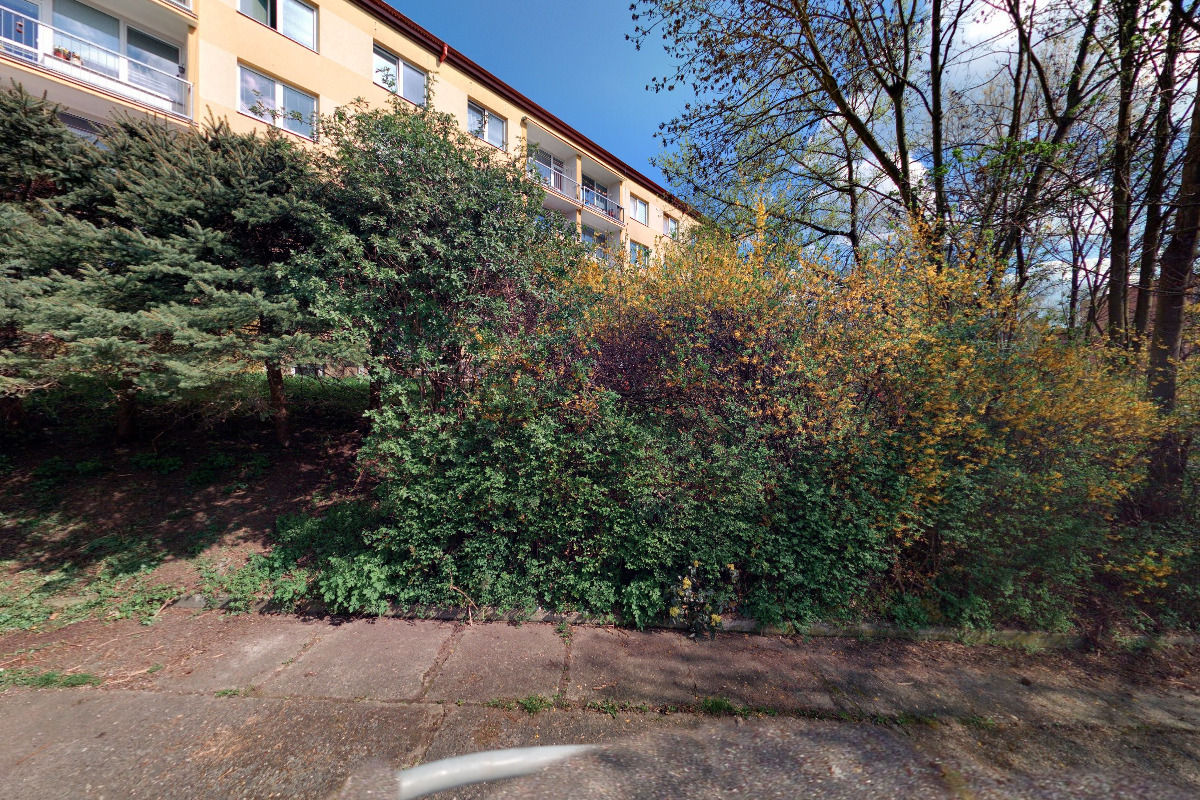 Ing. Monika Proroková - účetnictví