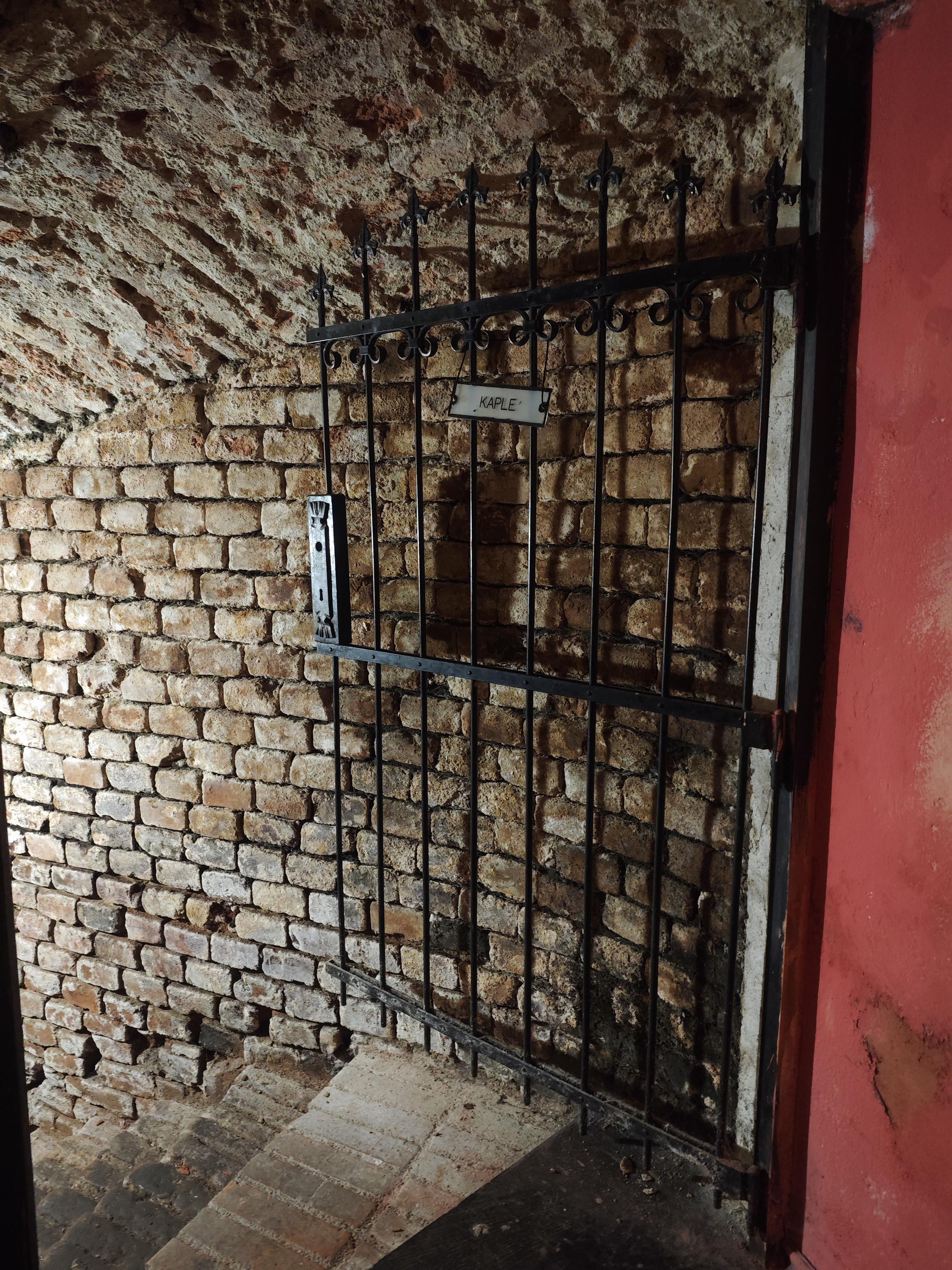 U kouřícího králíka foto 5