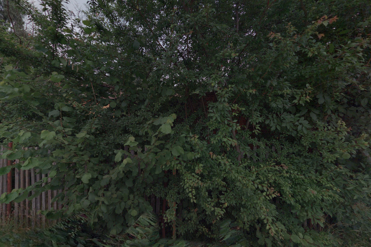 Ubytování Přední 5