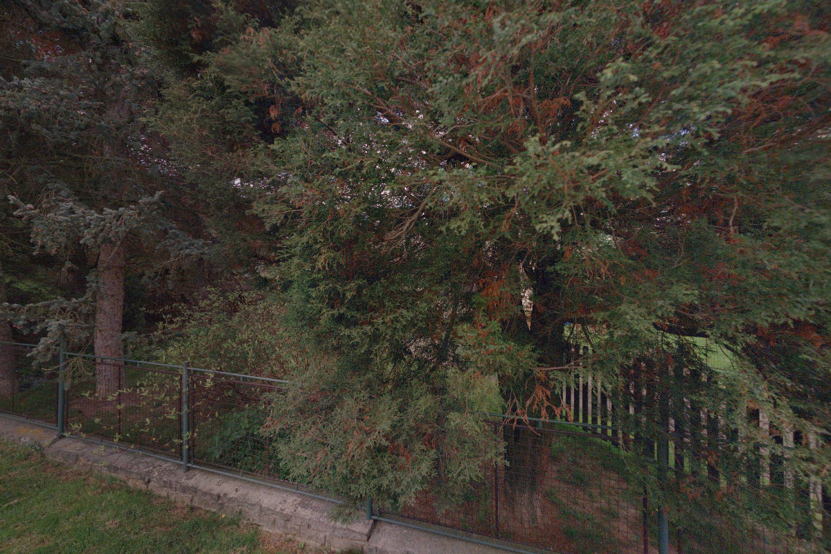 Marcel Arbet - rekonstrukce foto 1