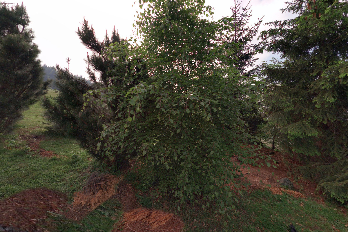 Radek Ondruch - tesařské práce