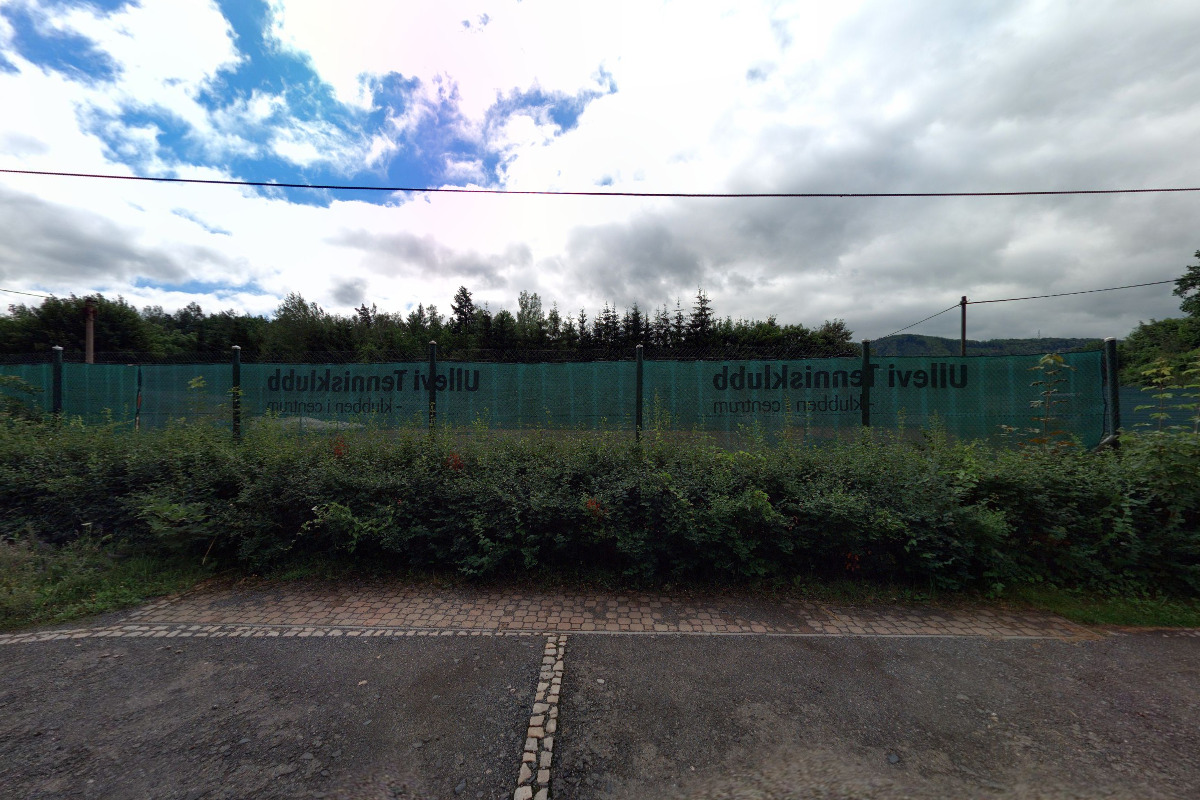 TJ Čechie Dalovice, spolek