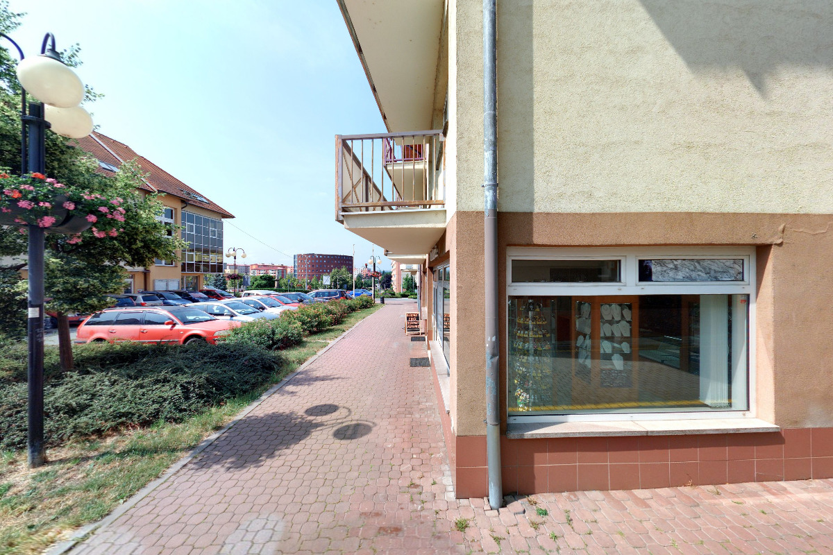 Slunečnice – zdravá výživa foto 3