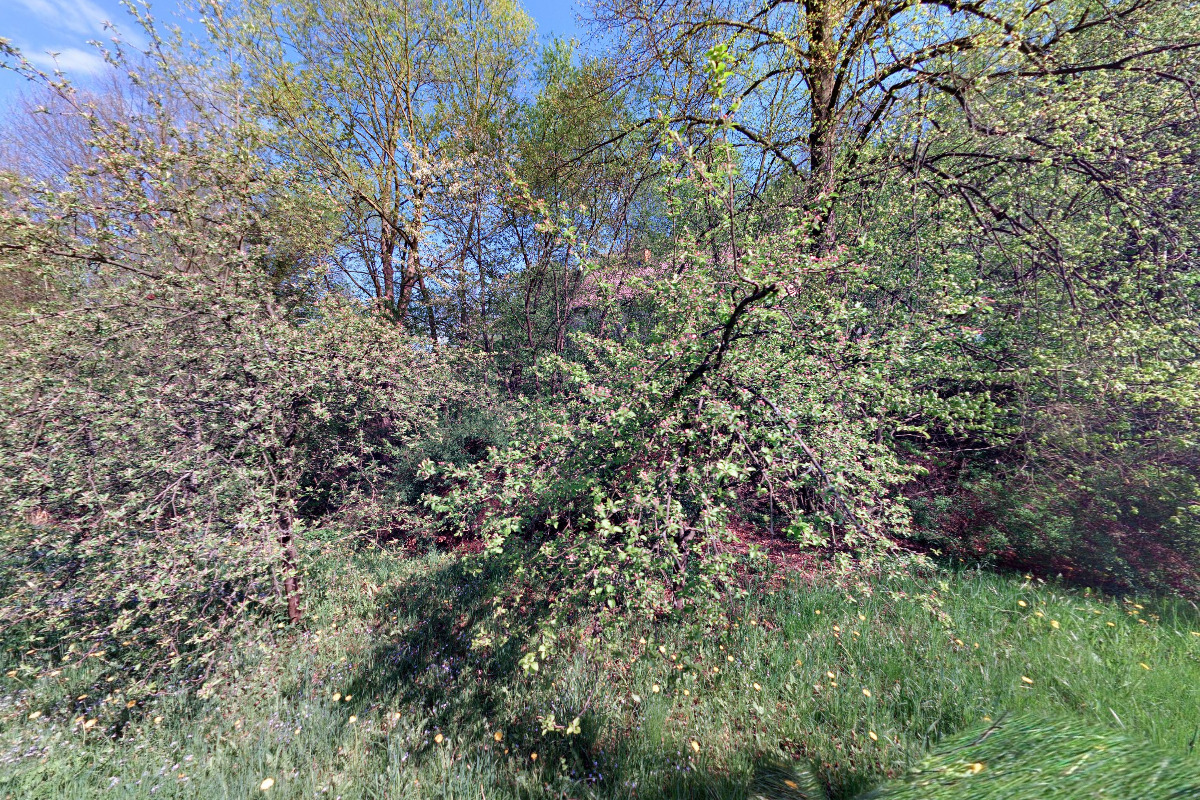 Tomáš Dřímal foto 2