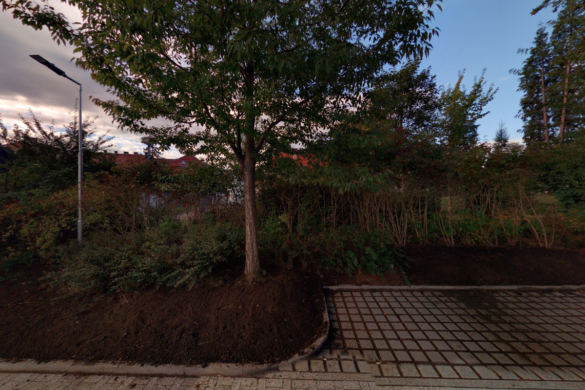 Hematologická ambulance - MMN, a.s. v Jilemnici foto 1