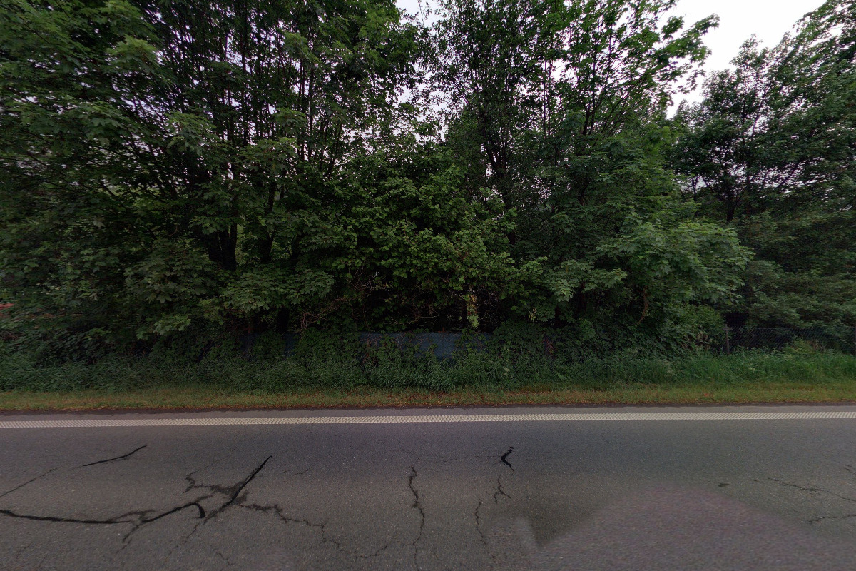 MgA. Kristina Vesková foto 1