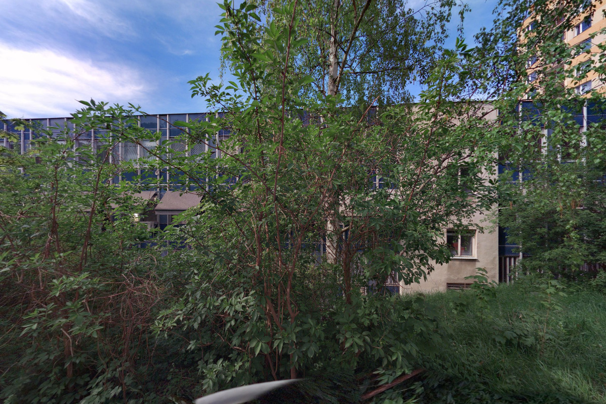 GYNEKOLOGIE STŘEKOV s.r.o. - MUDr. Michaela Vaňková foto 2