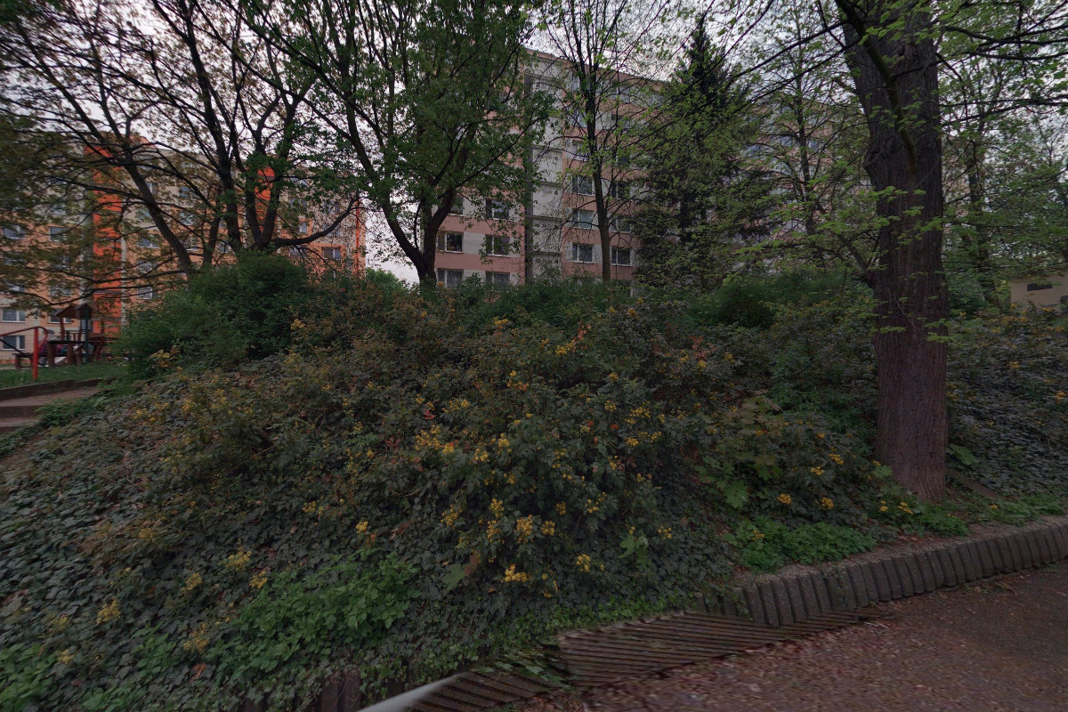 Ing. Šárka Draxlová