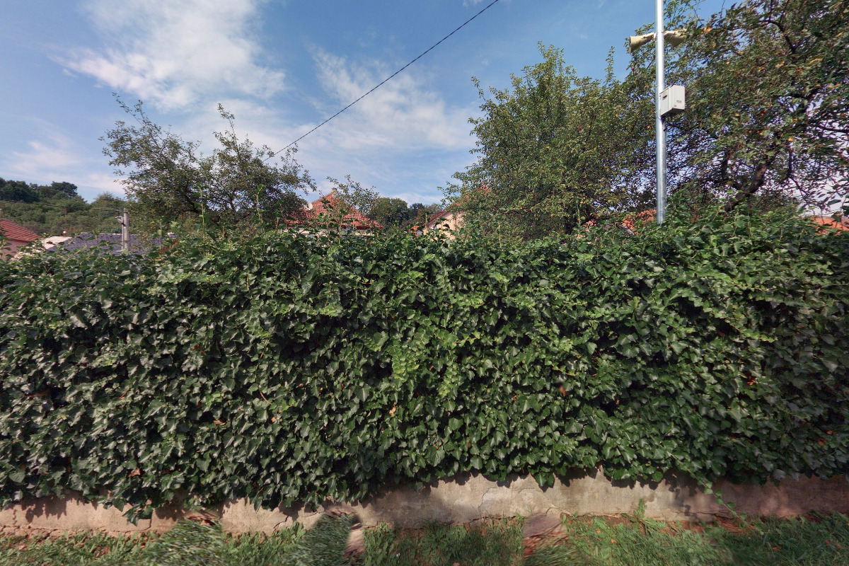 Cukrářství u Savarů