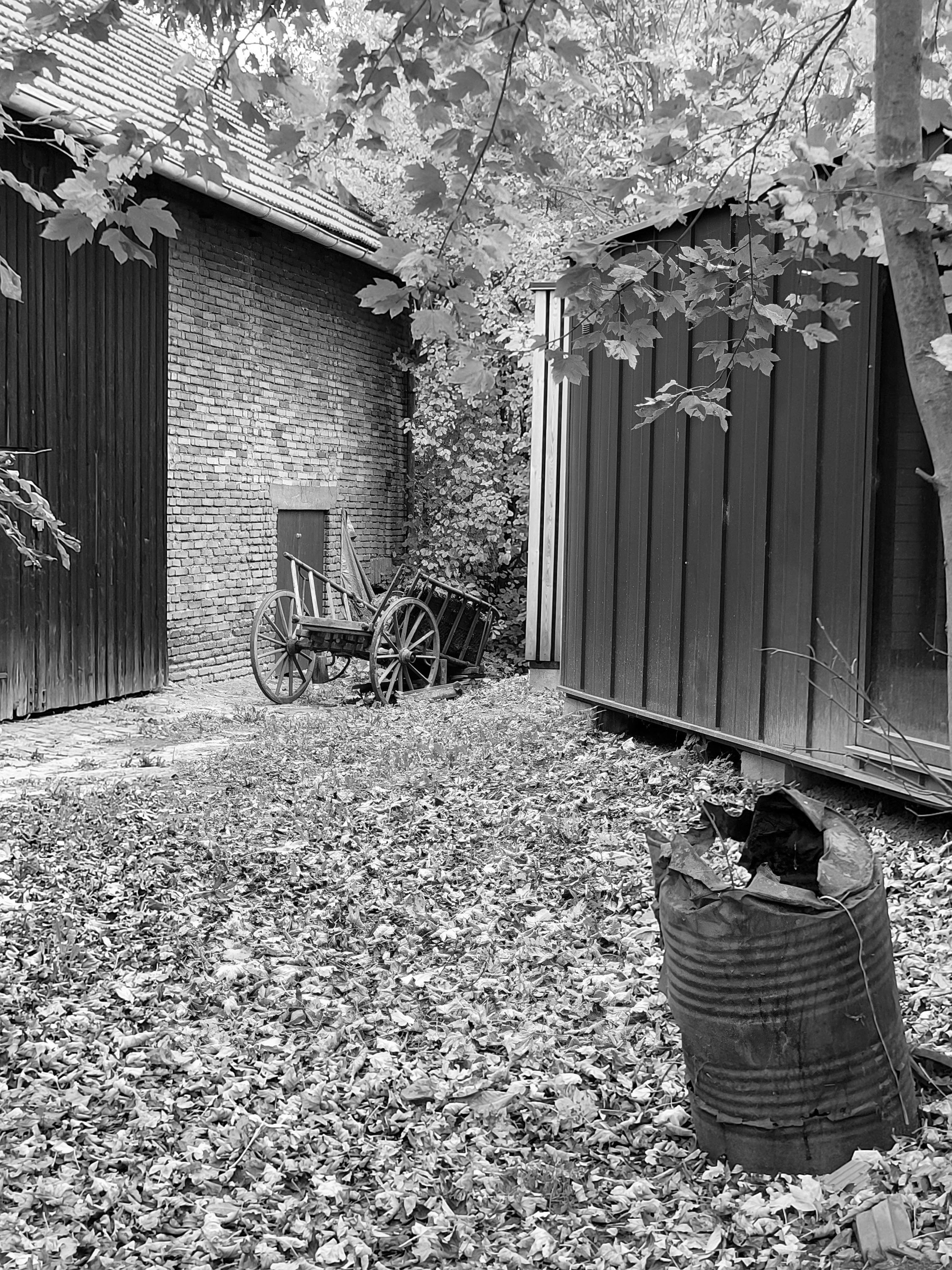 Galerie Fotografic foto 4