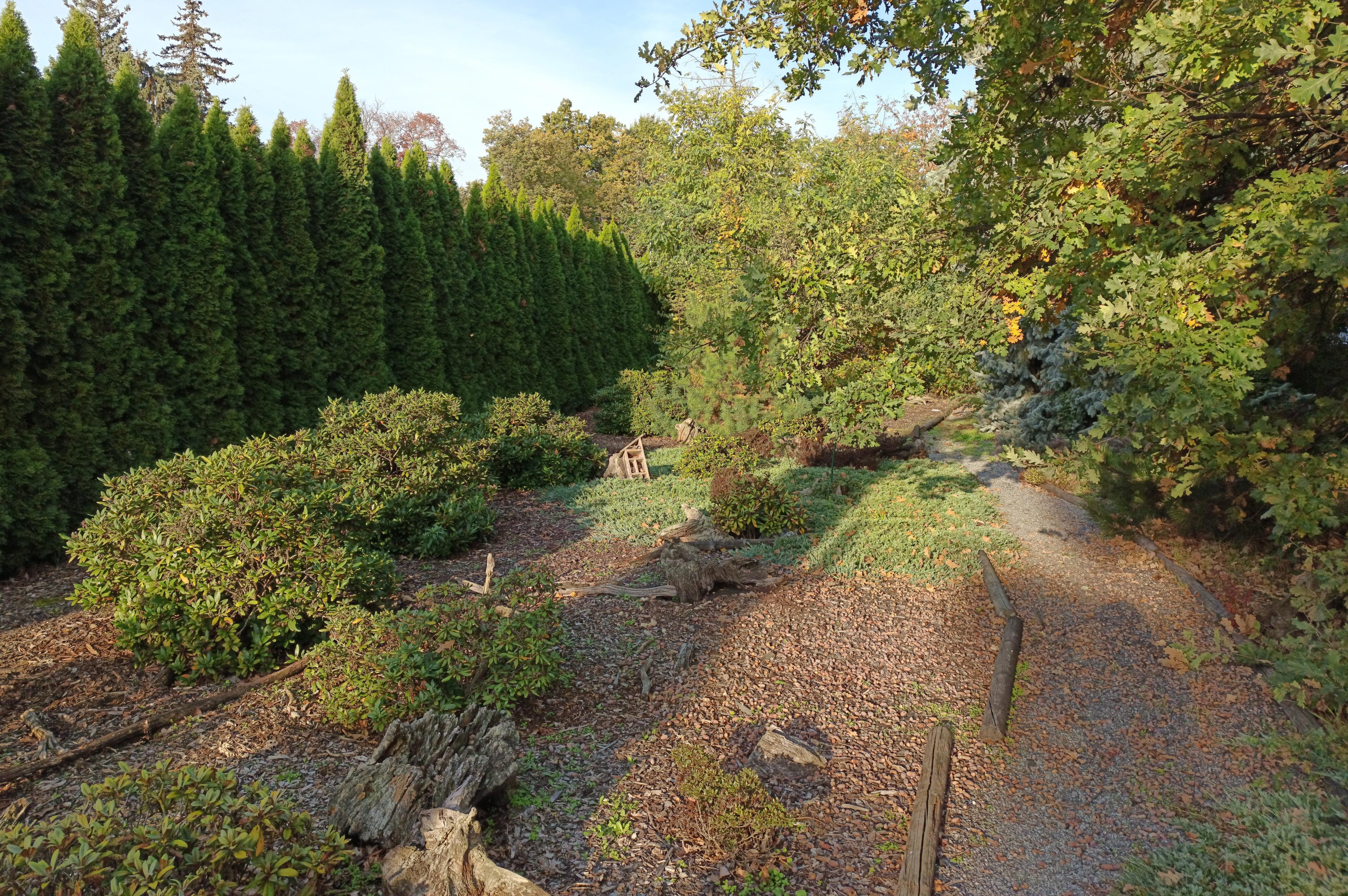 Základní škola Václava Havla, Poděbrady foto 4