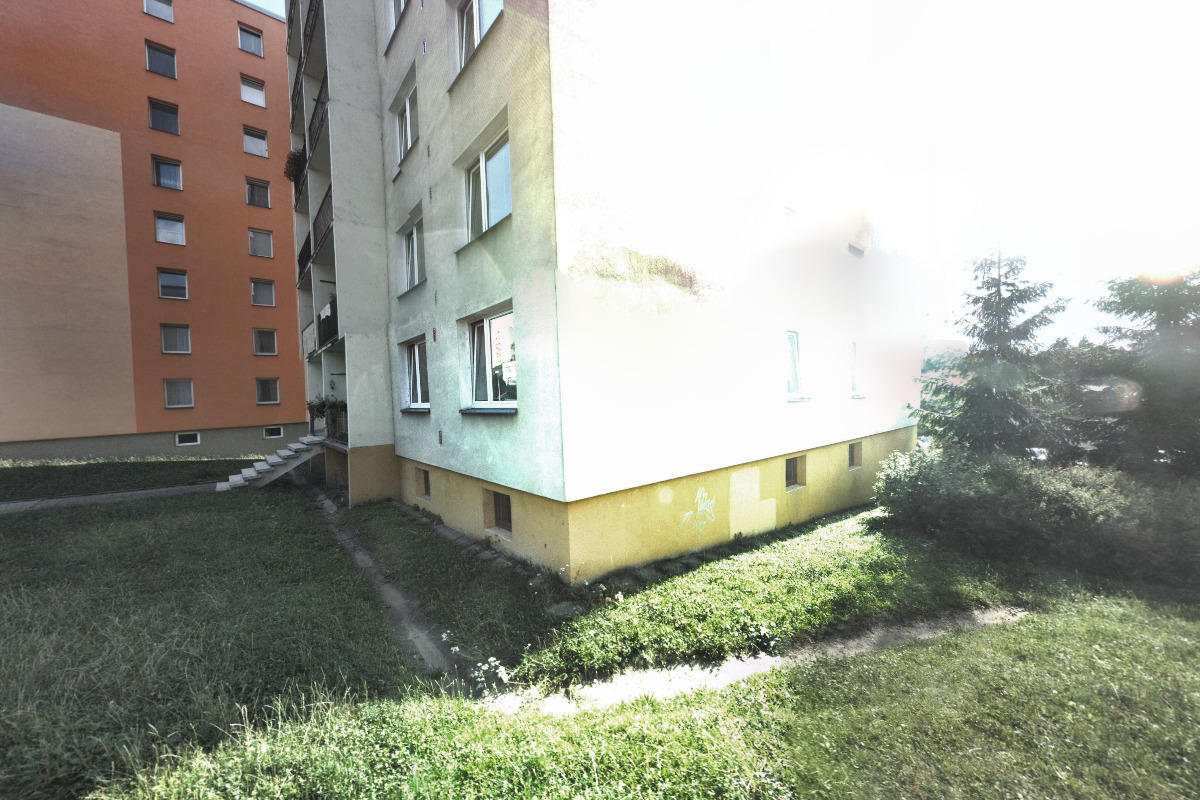 Petr Bazel foto 2