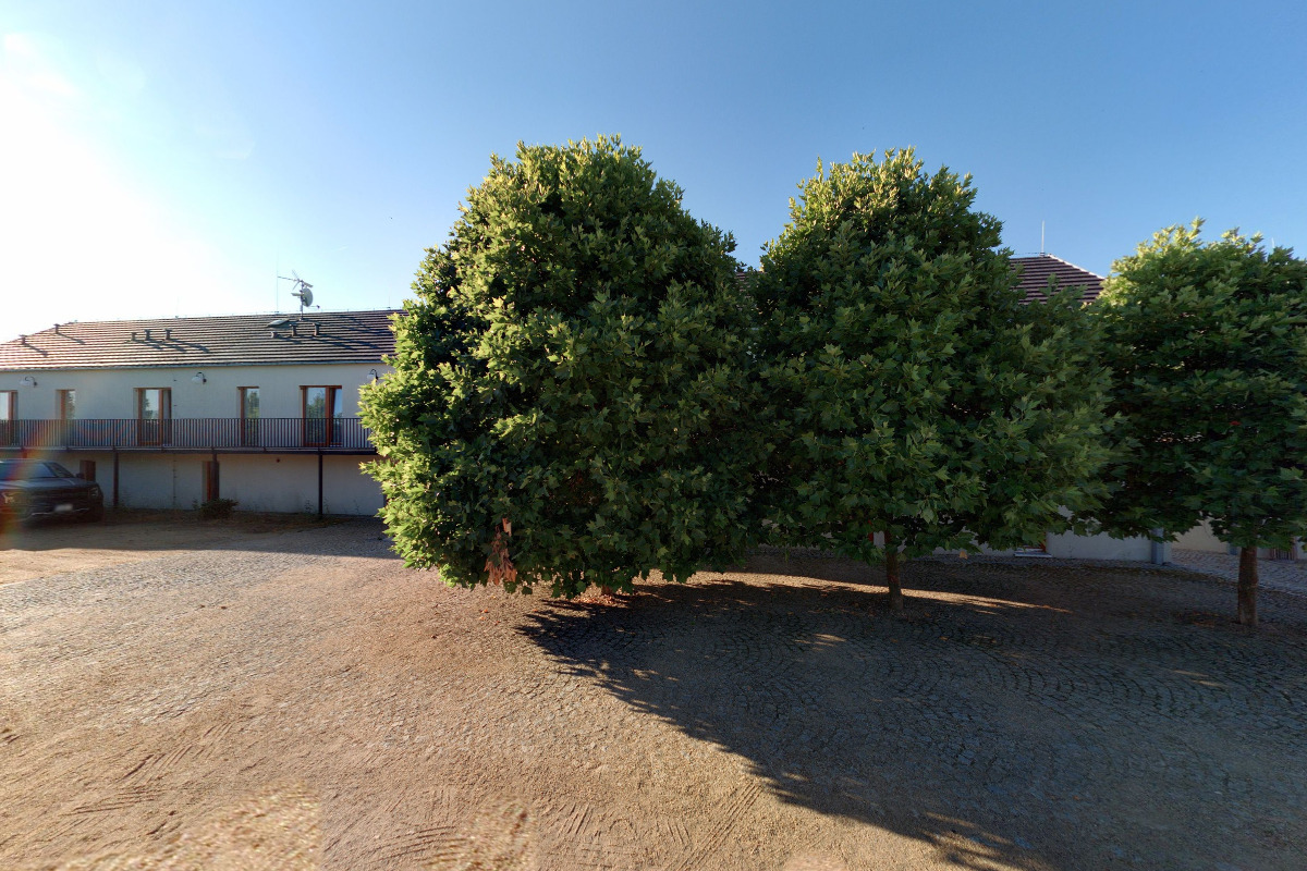 Koloniál Talpa Market foto 4