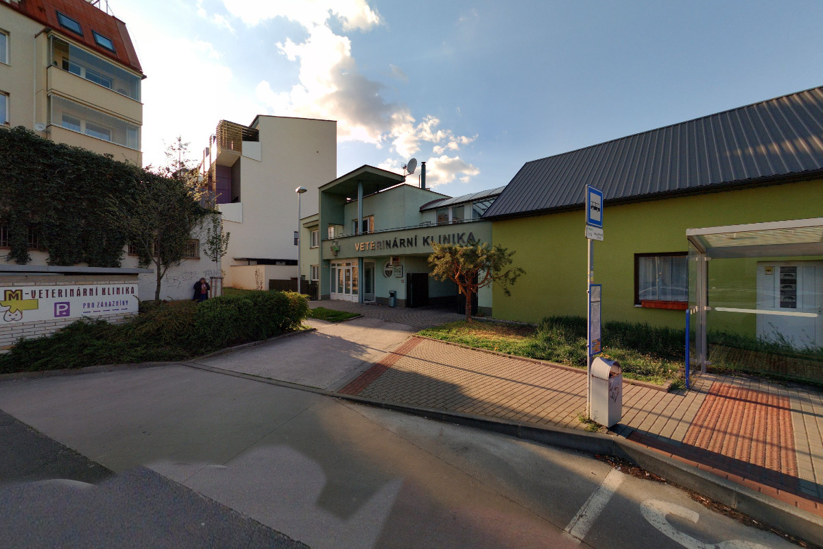 M - Veterinární klinika foto 3