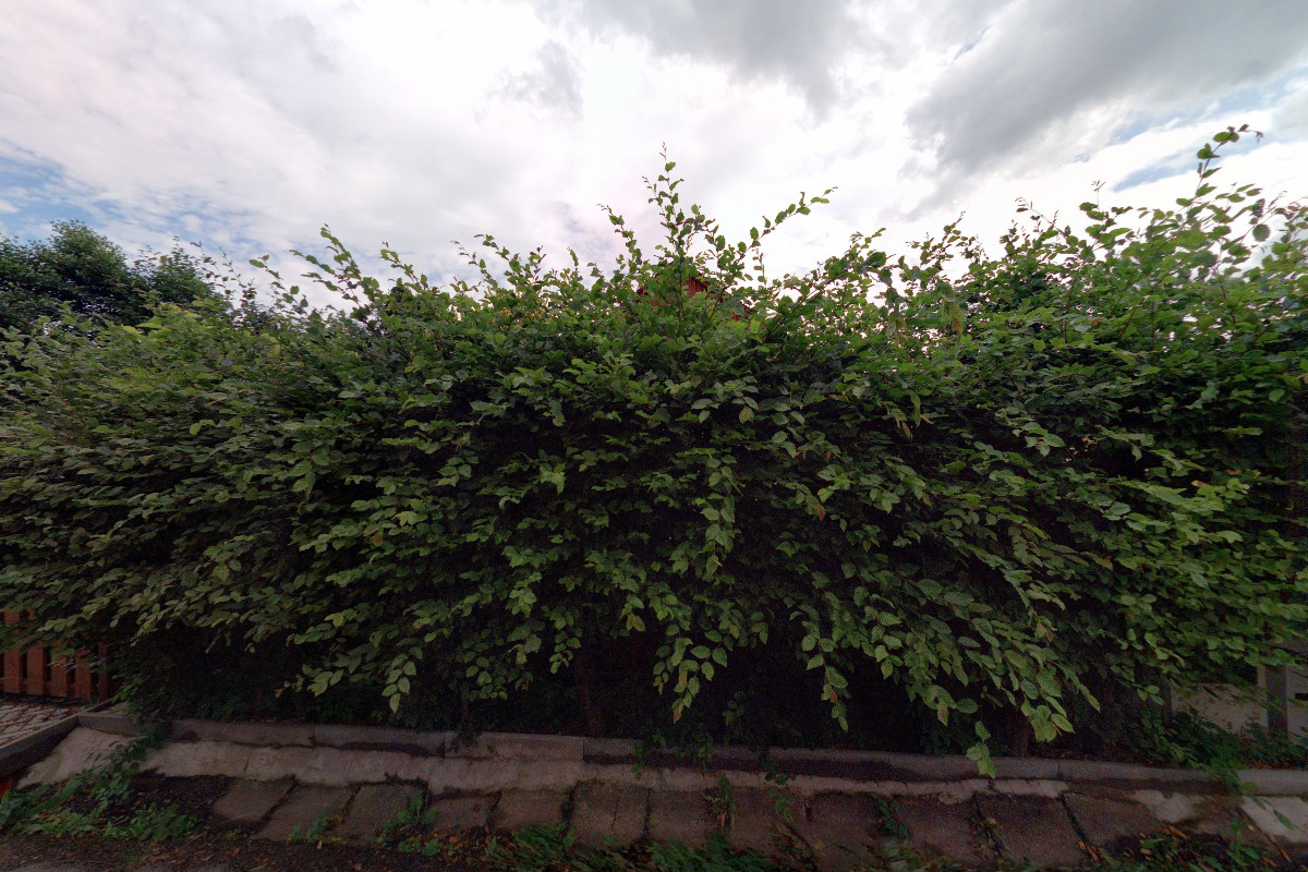 Aussiemaison.cz foto 2