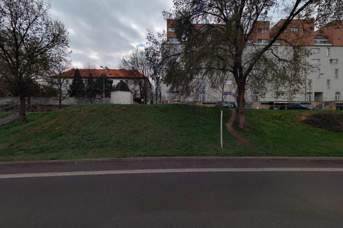 Purkyňova nadace Lovosice