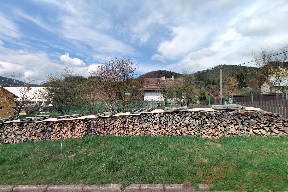 Dřevo rusava - Jaroslav Botík