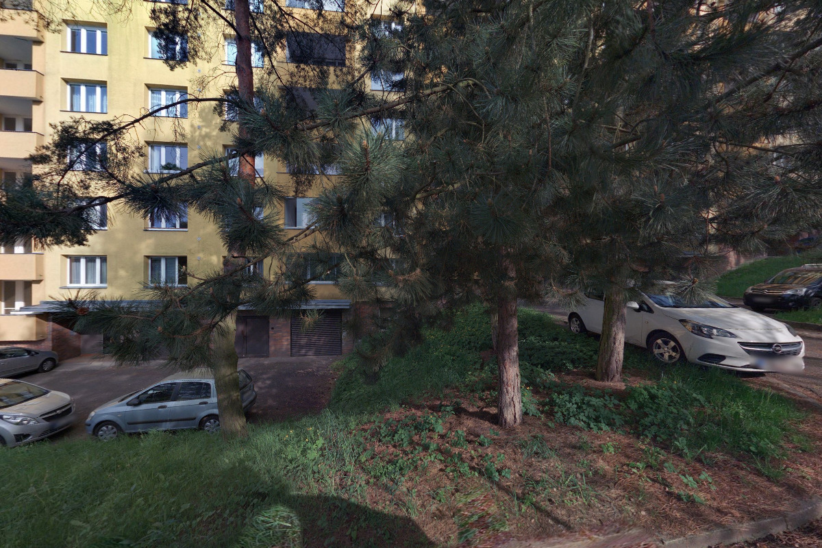 Ing. arch. Olga Růžičková