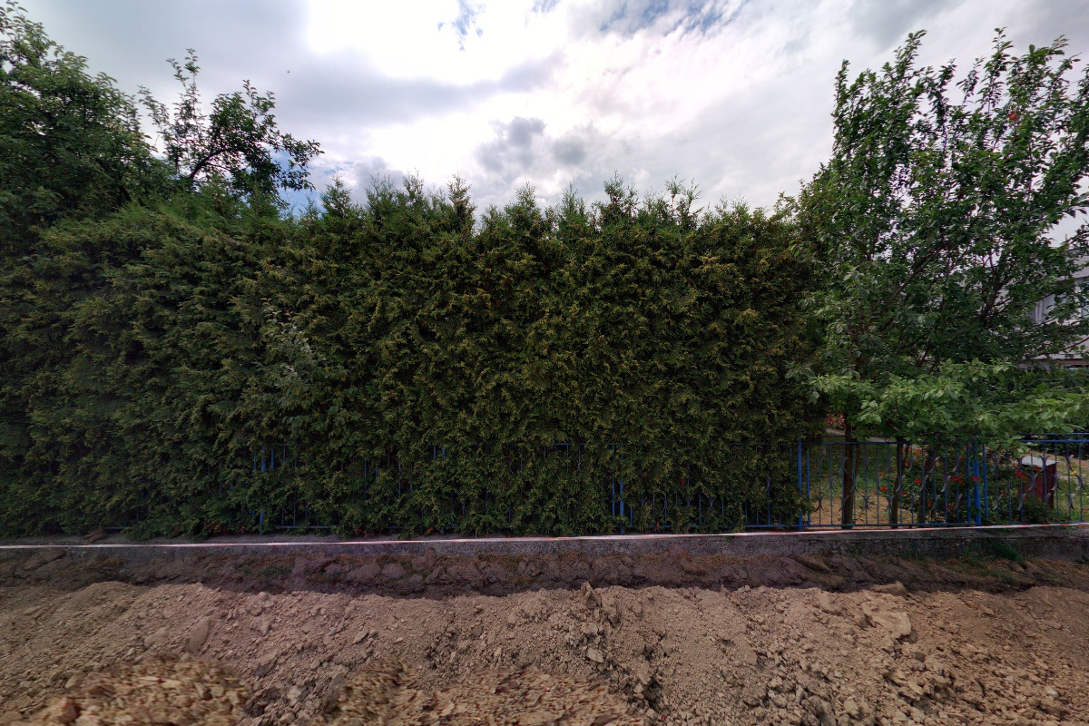 TOM Černý Delfín č.19066