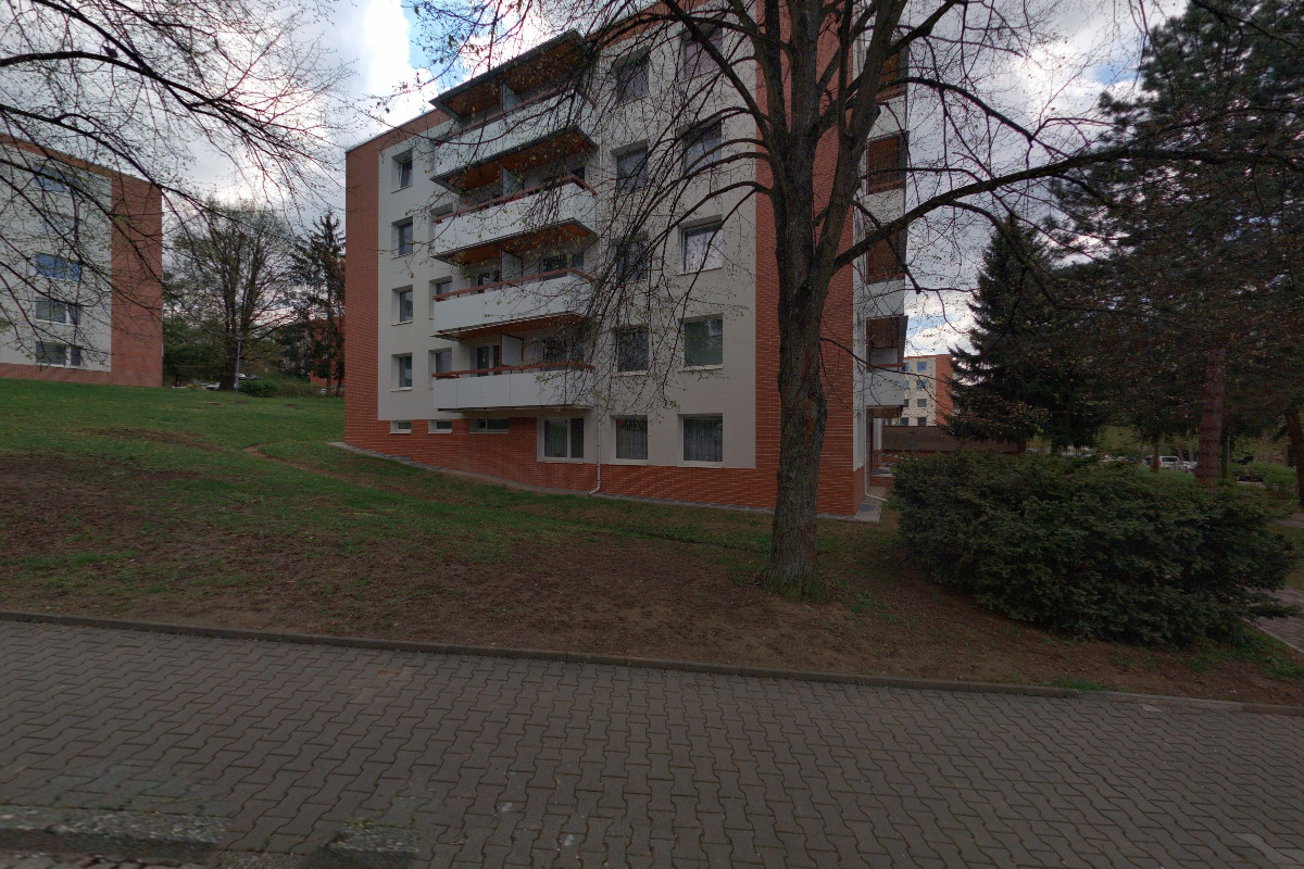 Lyžařská a snowboardová škola Sněhulák foto 2