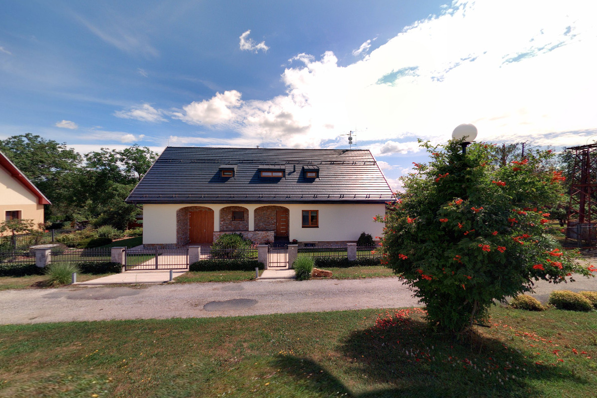 LJS - Export of Dogs