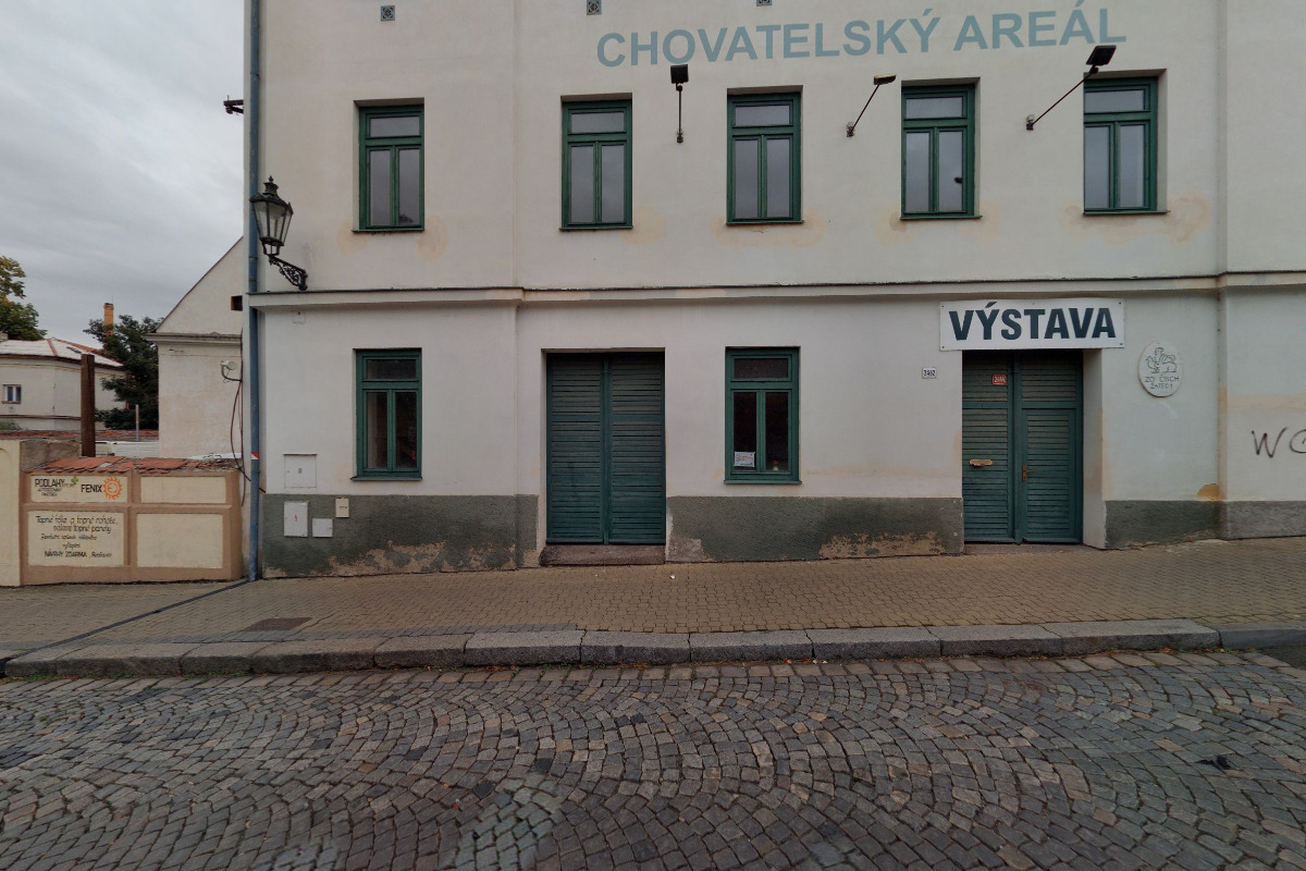 Český svaz chovatelů Základní organizace Žatec I. foto 2