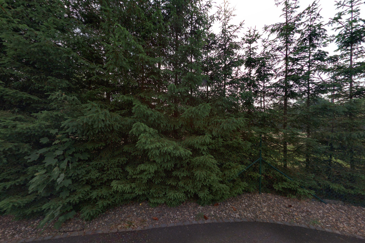 S.CH.T.-Seiner, s.r.o.