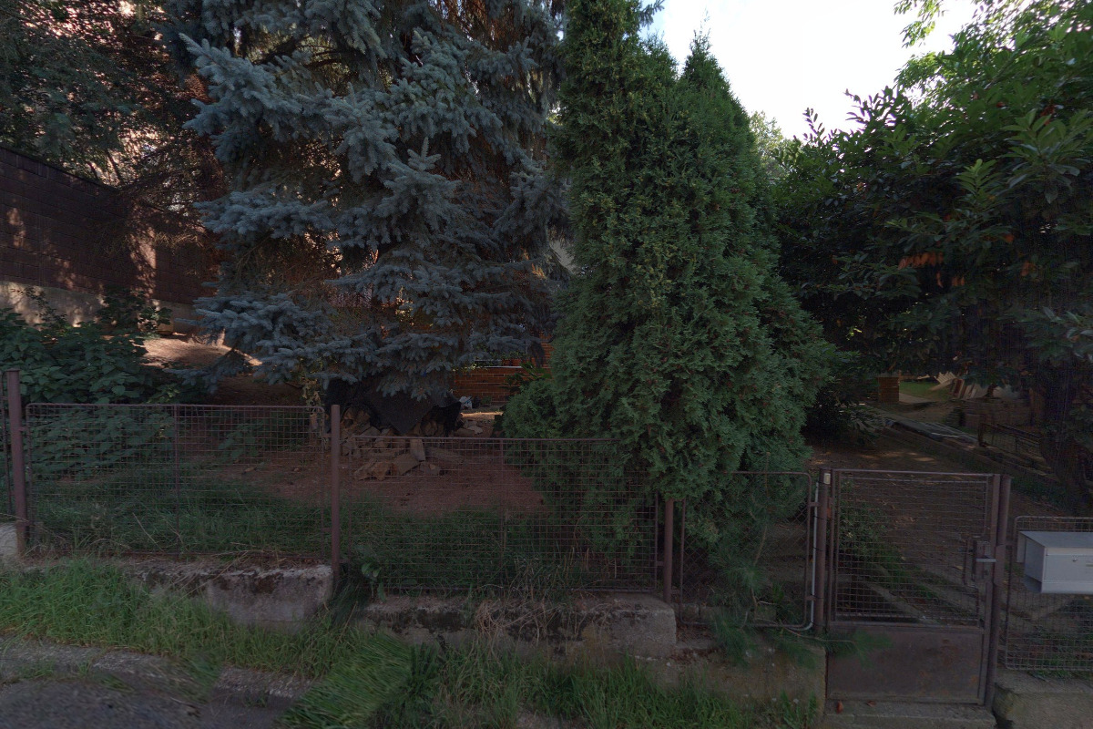 Tomáš Přibil - Hladovakola.cz foto 3