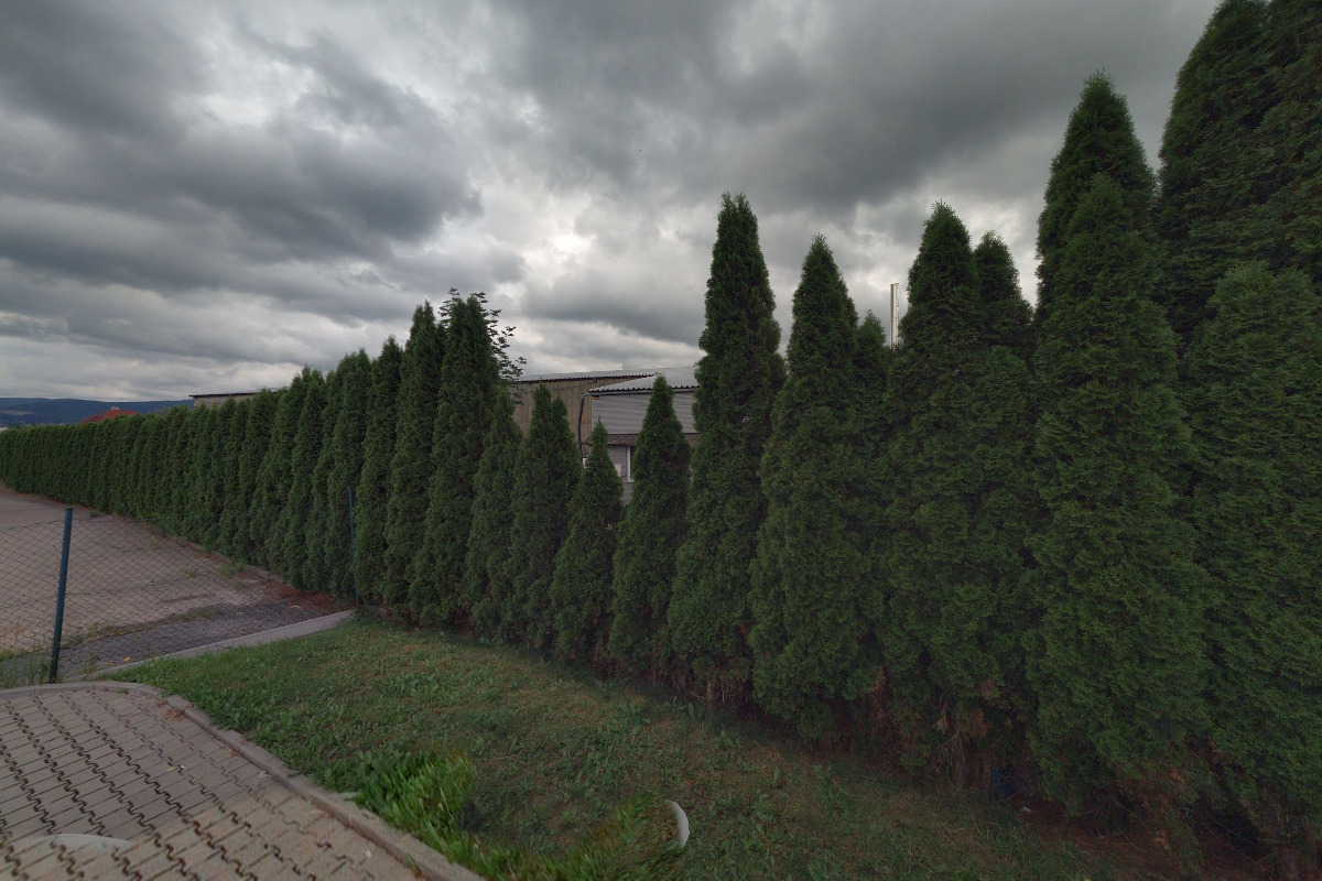 AUTOVRAKOVIŠTĚ U LETIŠTĚ foto 3