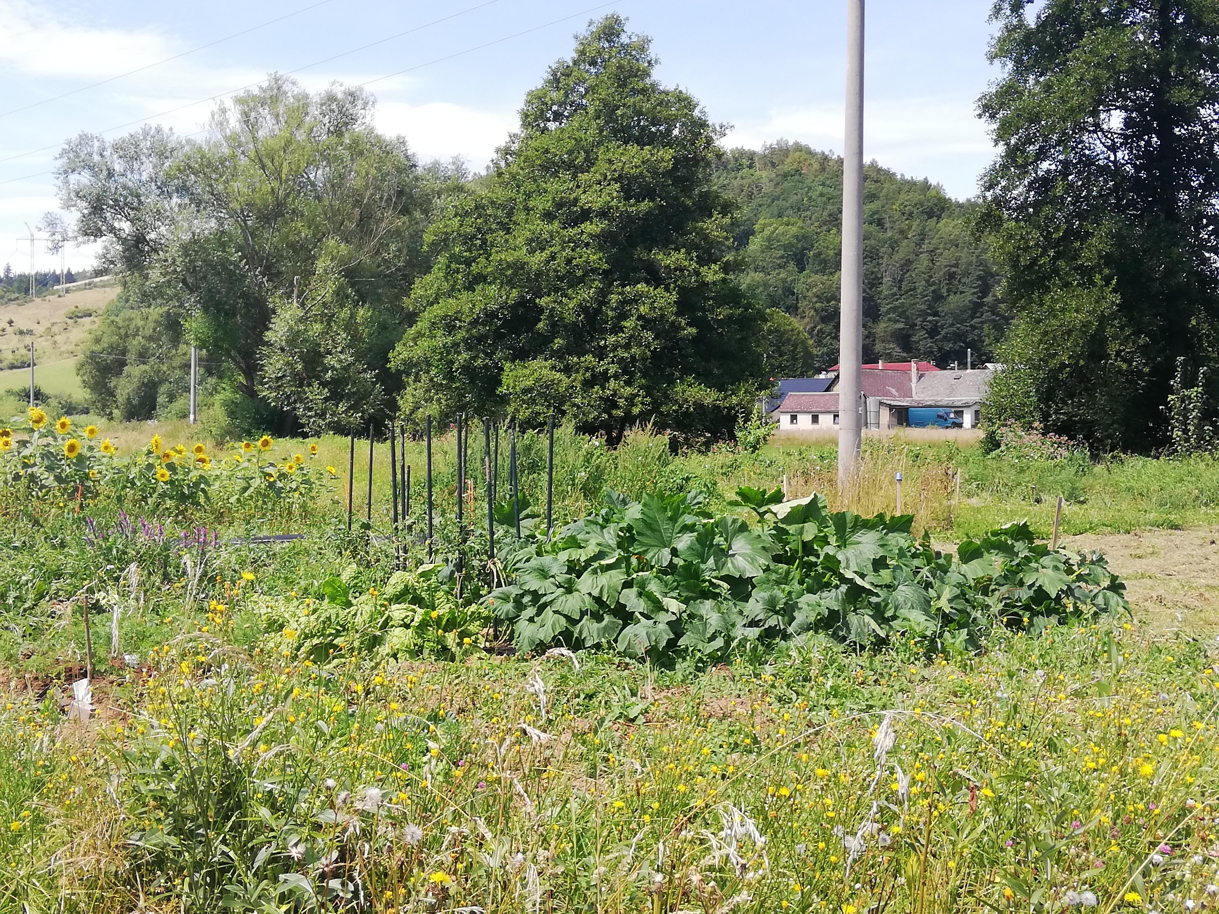 Permakulturní zahrada u Bouzova foto 6
