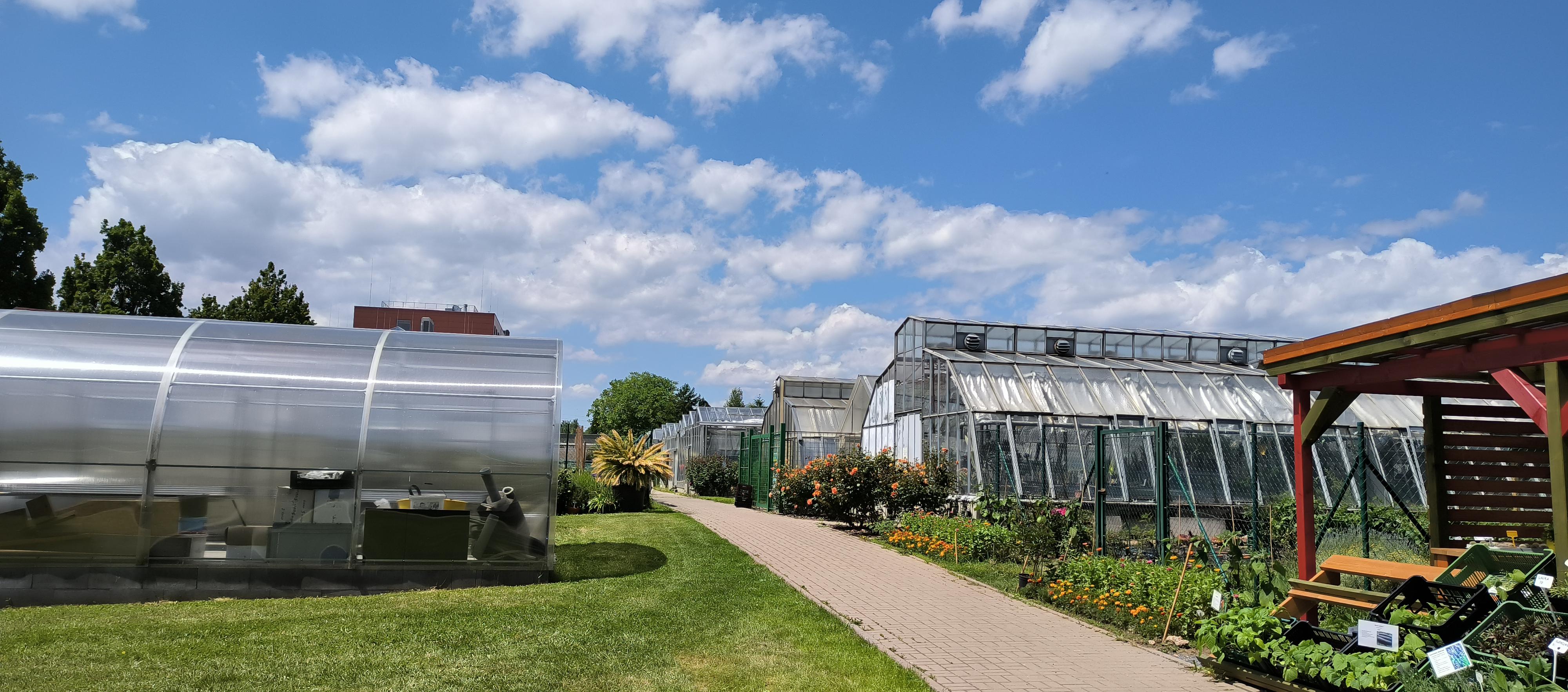 ČZU - Fakulta tropického zemědělství foto 3