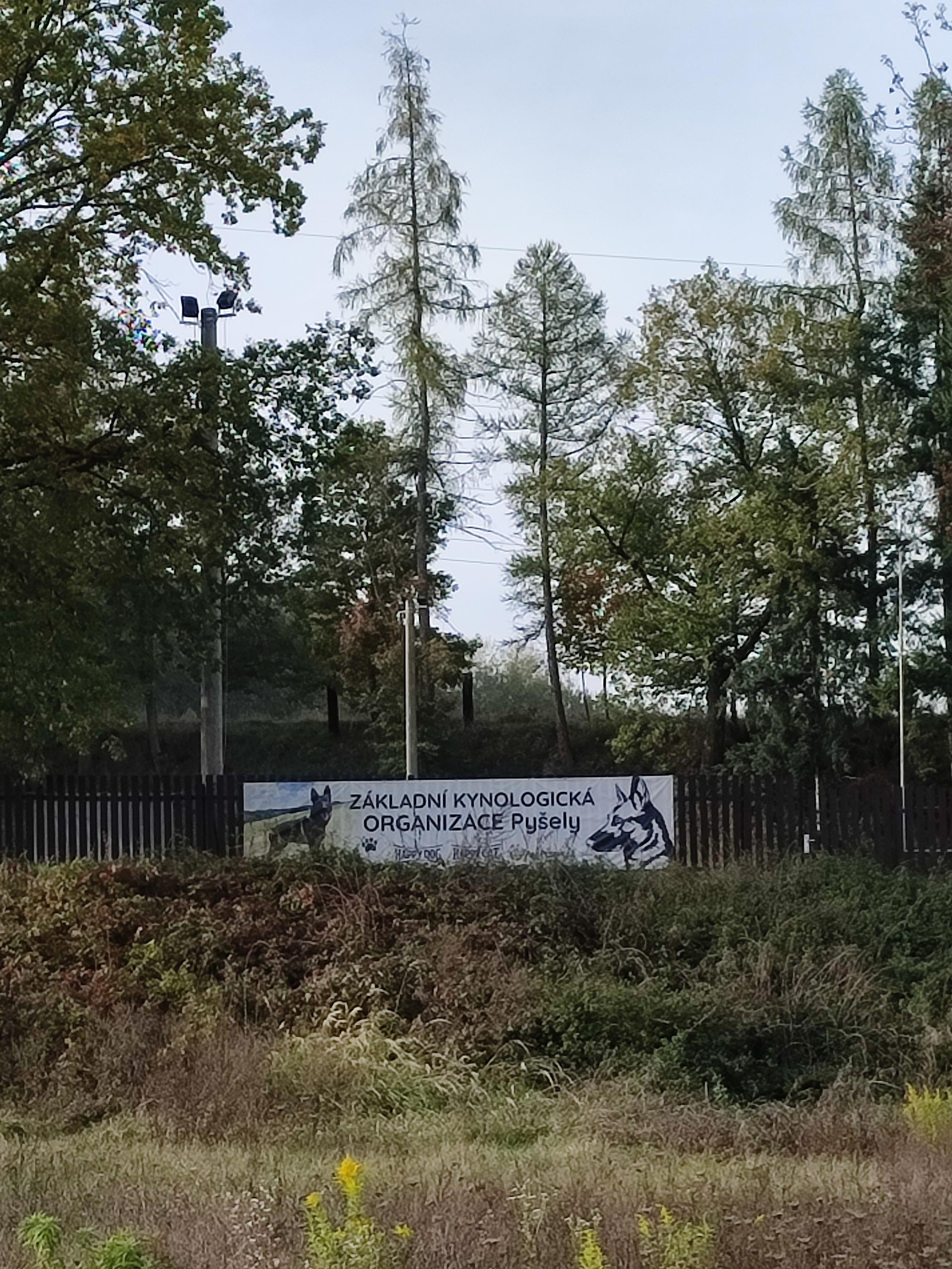 Český kynologický svaz ZKO Pyšely - 372 foto 2