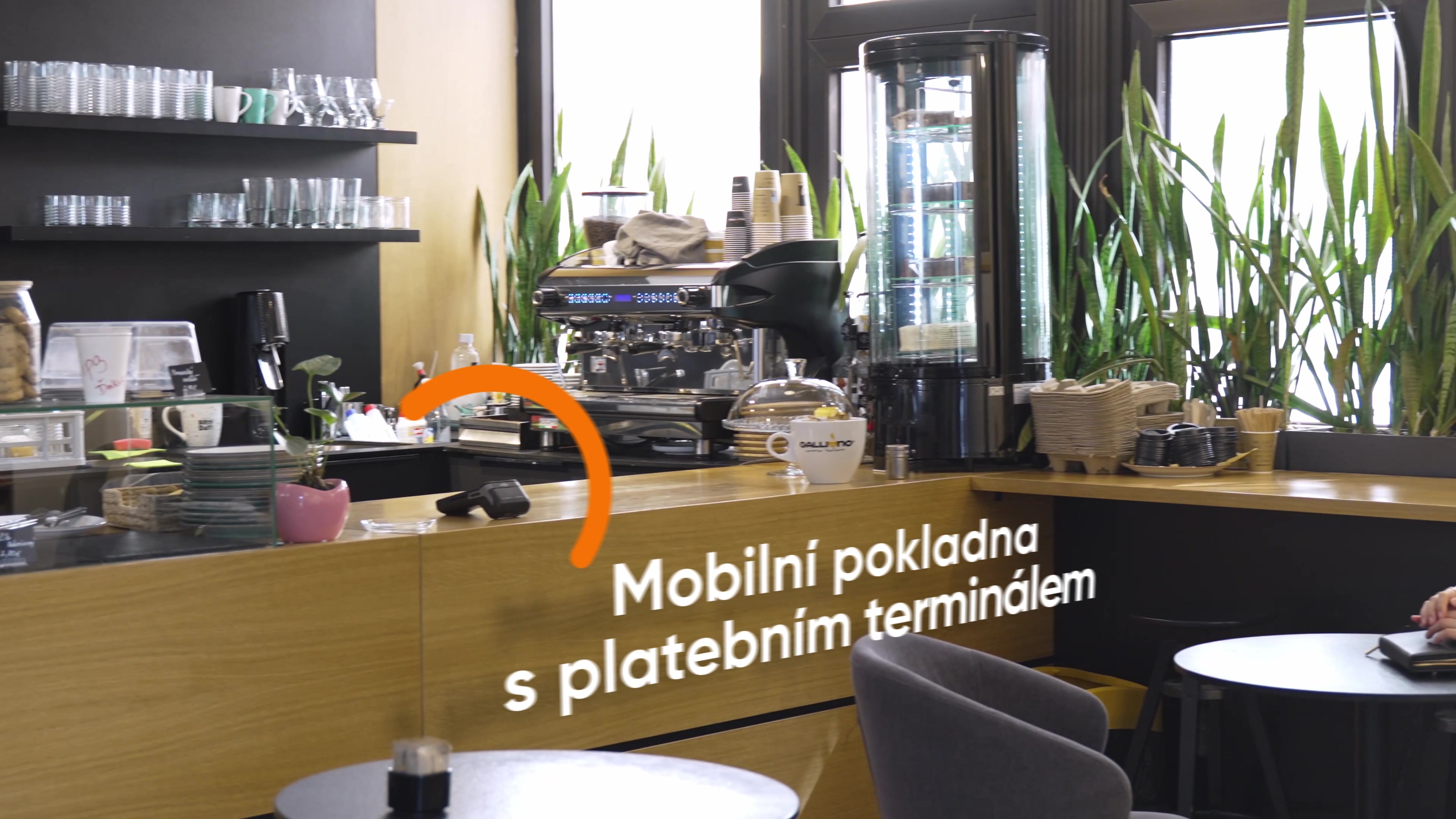 Papaya POS foto 2 (náhled videa)