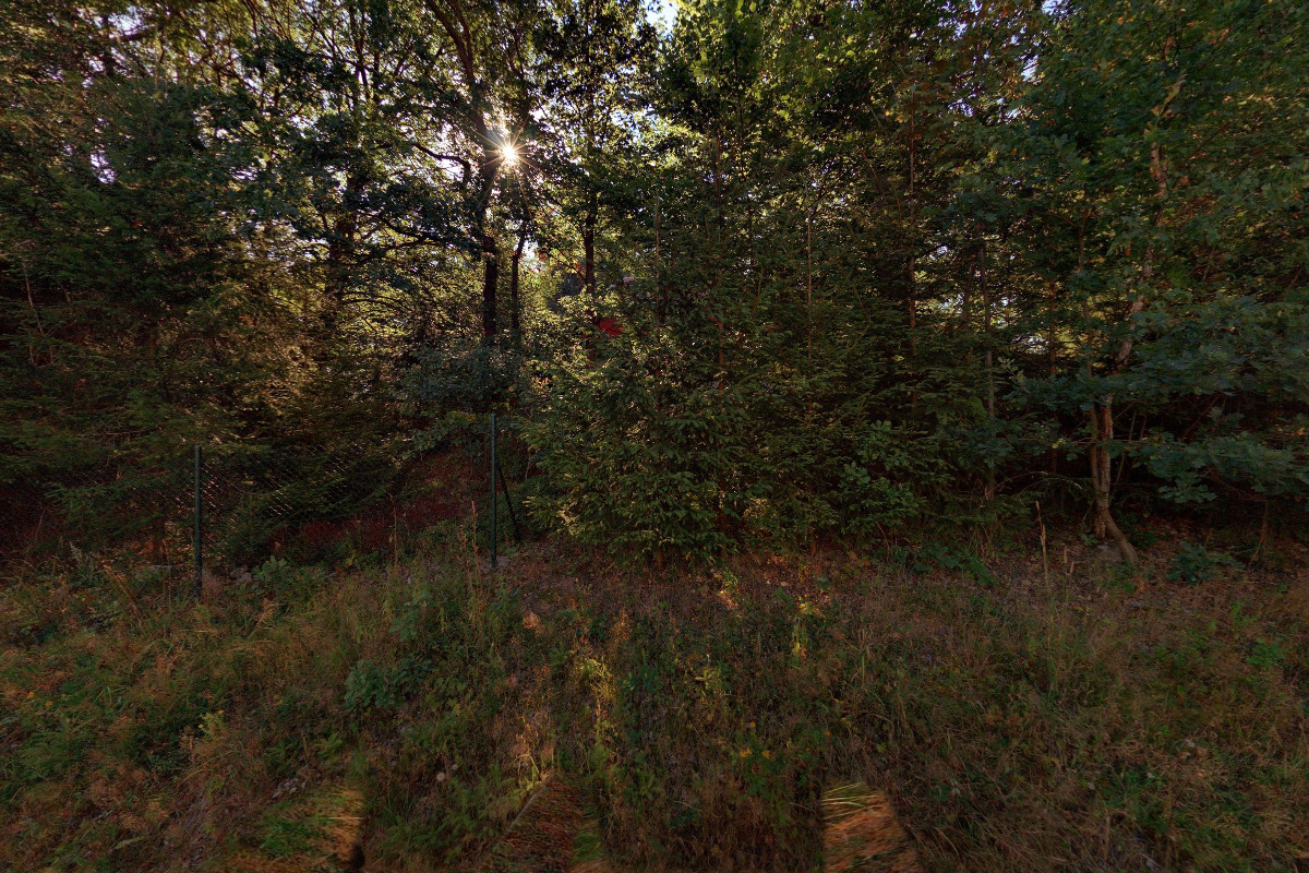 Jana Synková foto 1