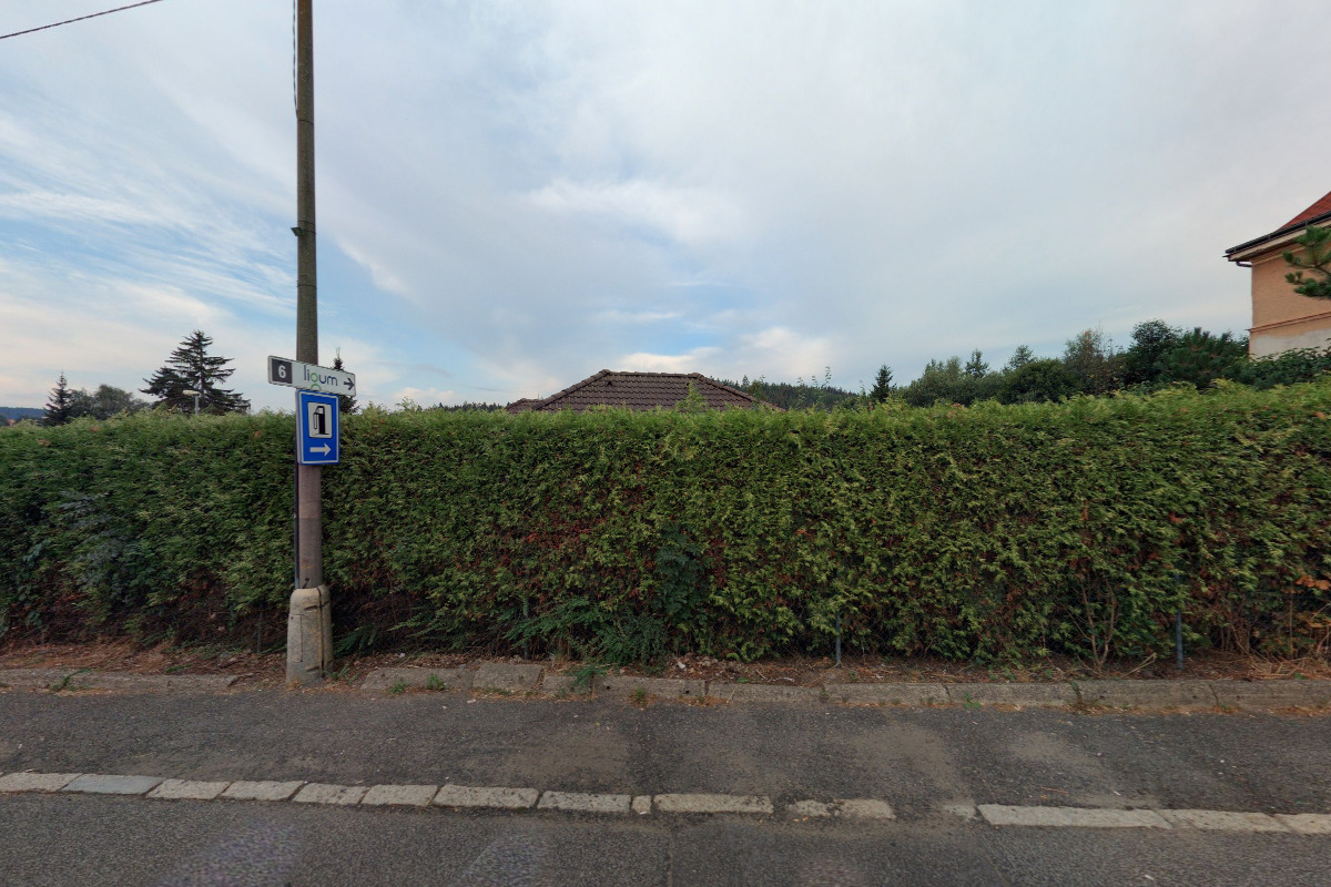 Dana Štěpánková foto 2