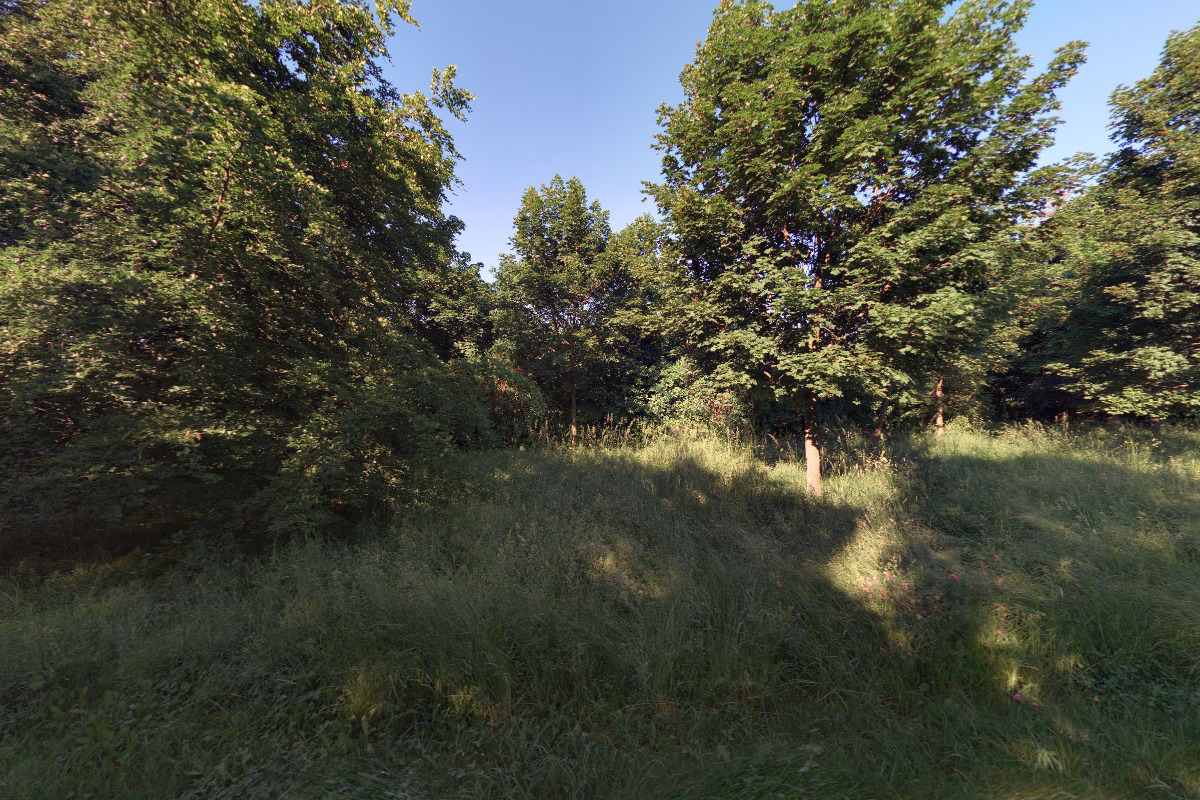 Základní kynologická organizace č.169