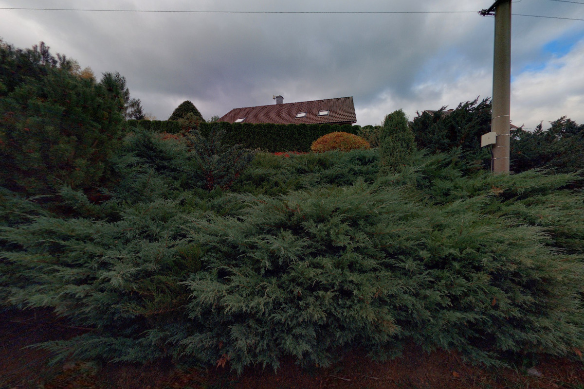 Věra Kaňová - účetnictví