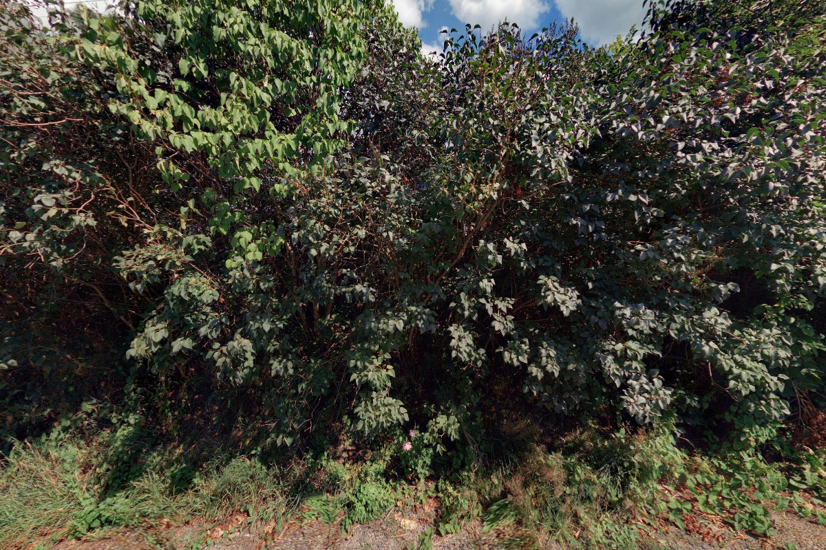 Autodoprava Dominik Sutnar