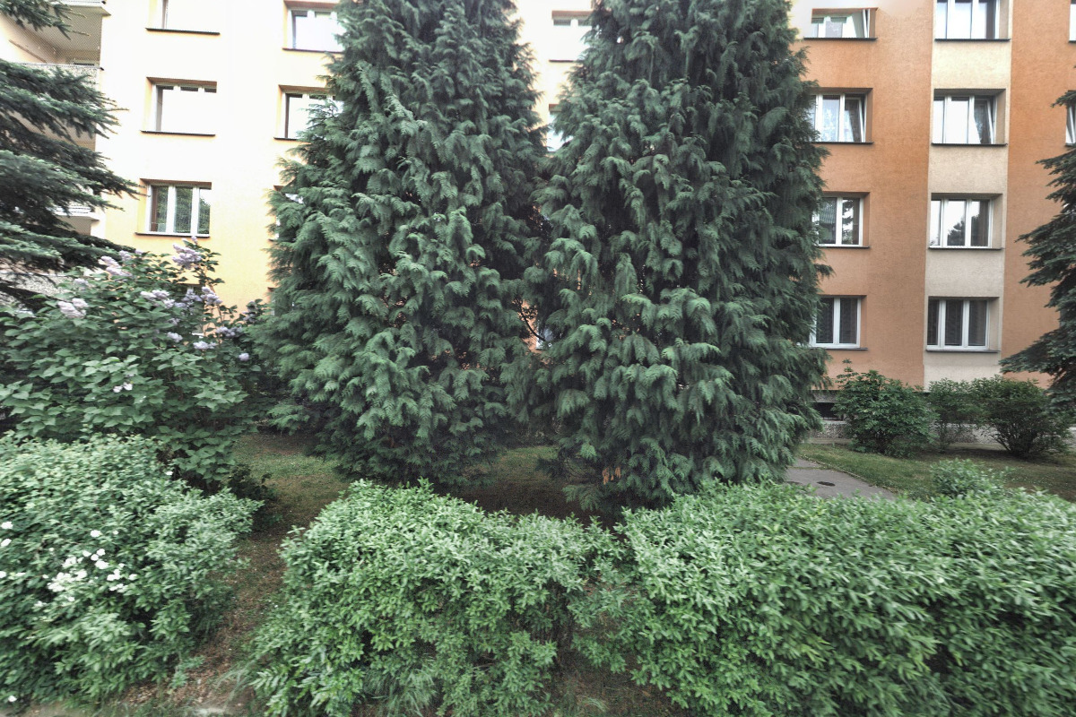 Zastavárna aut - Richard Sedlický